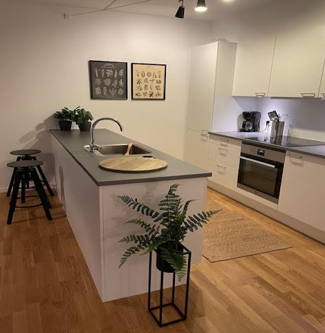 Expat friendly apartment in Hillerød