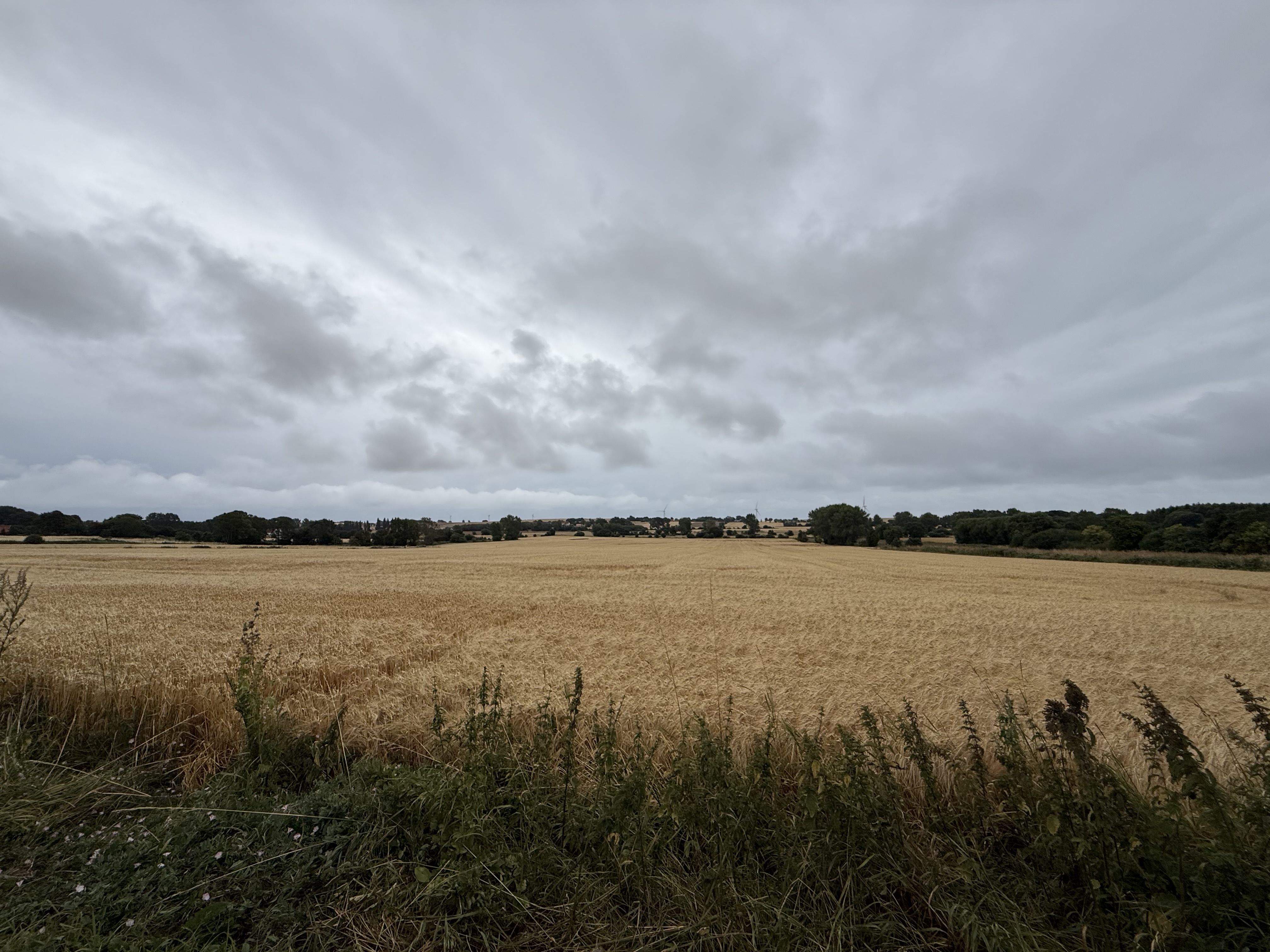 Land ejendom 