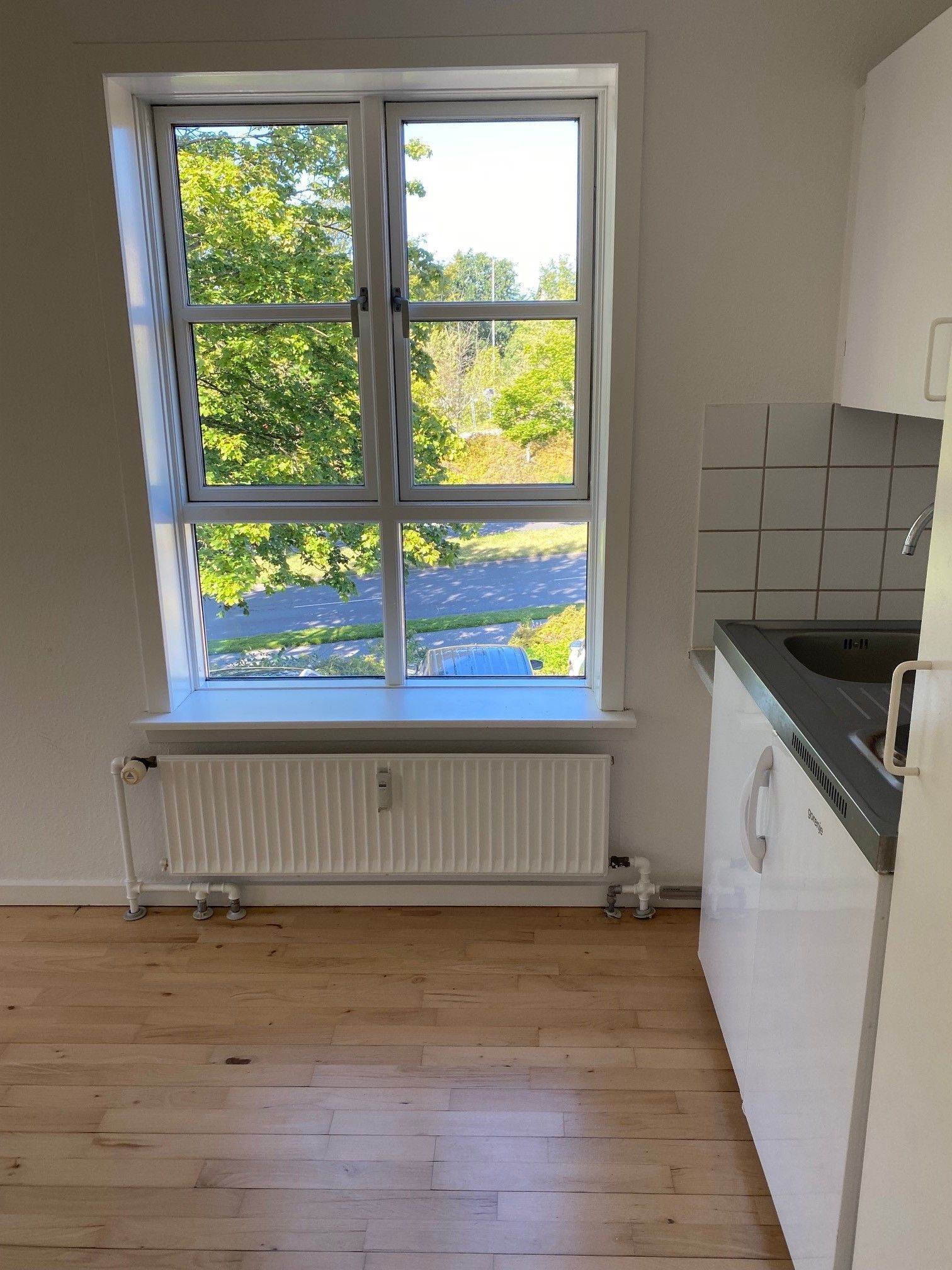 Skøn og rummelig begynder lejlighed