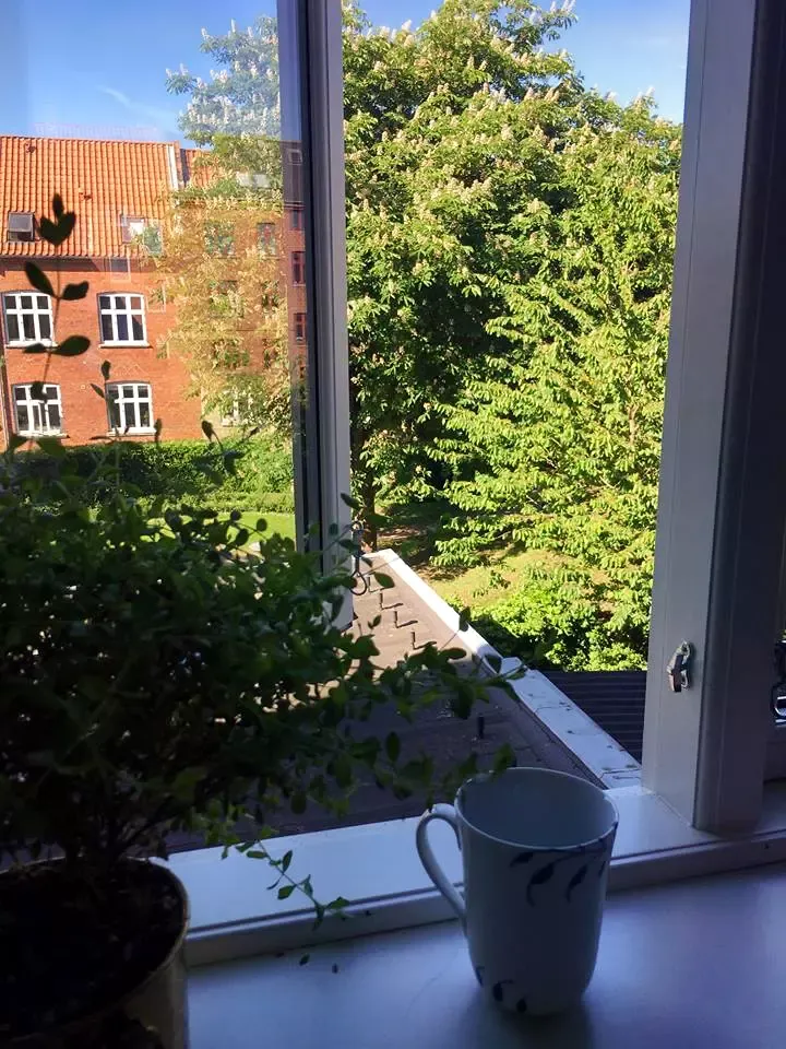 Lys 2-værelses med karnap, plankegulve og grønt kig – indflytning 1. december