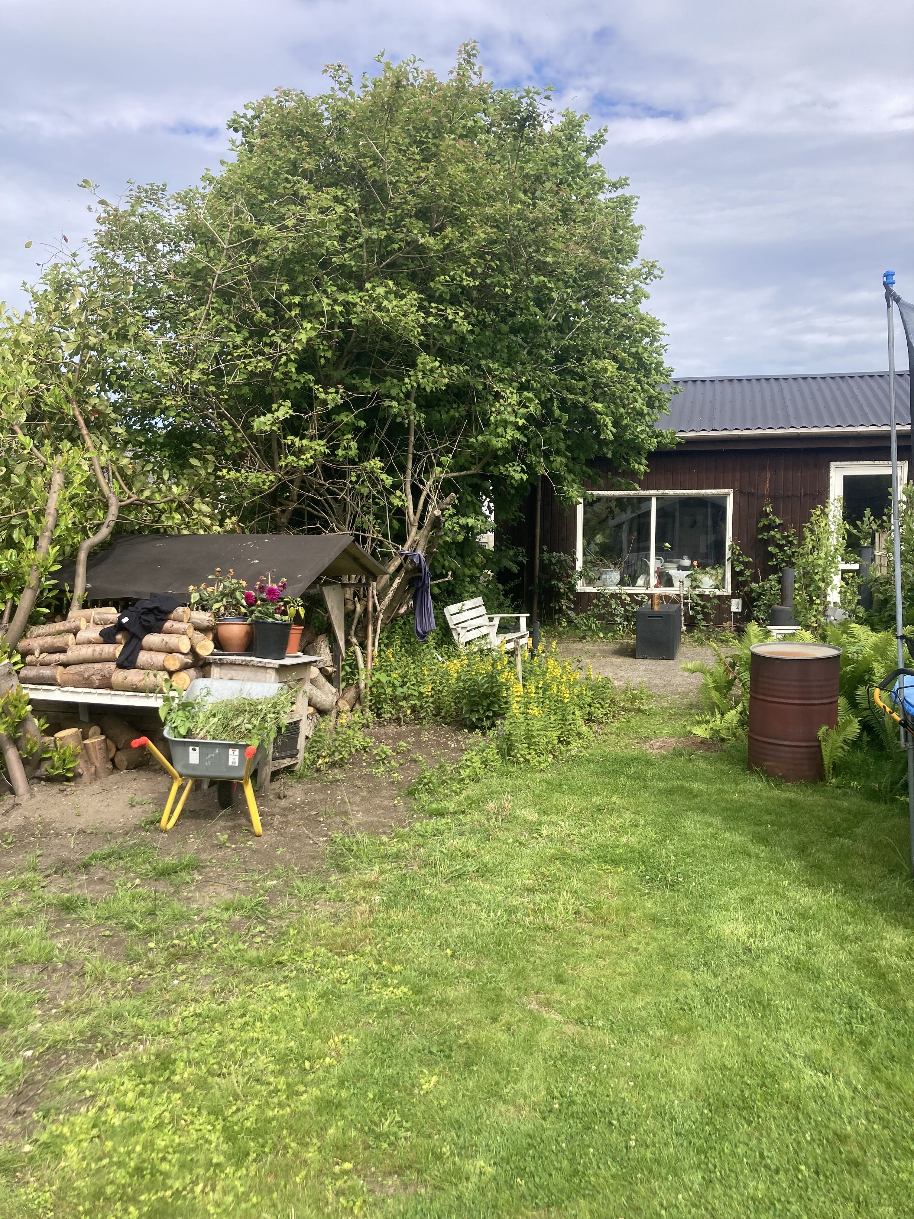 Hus i Esrum