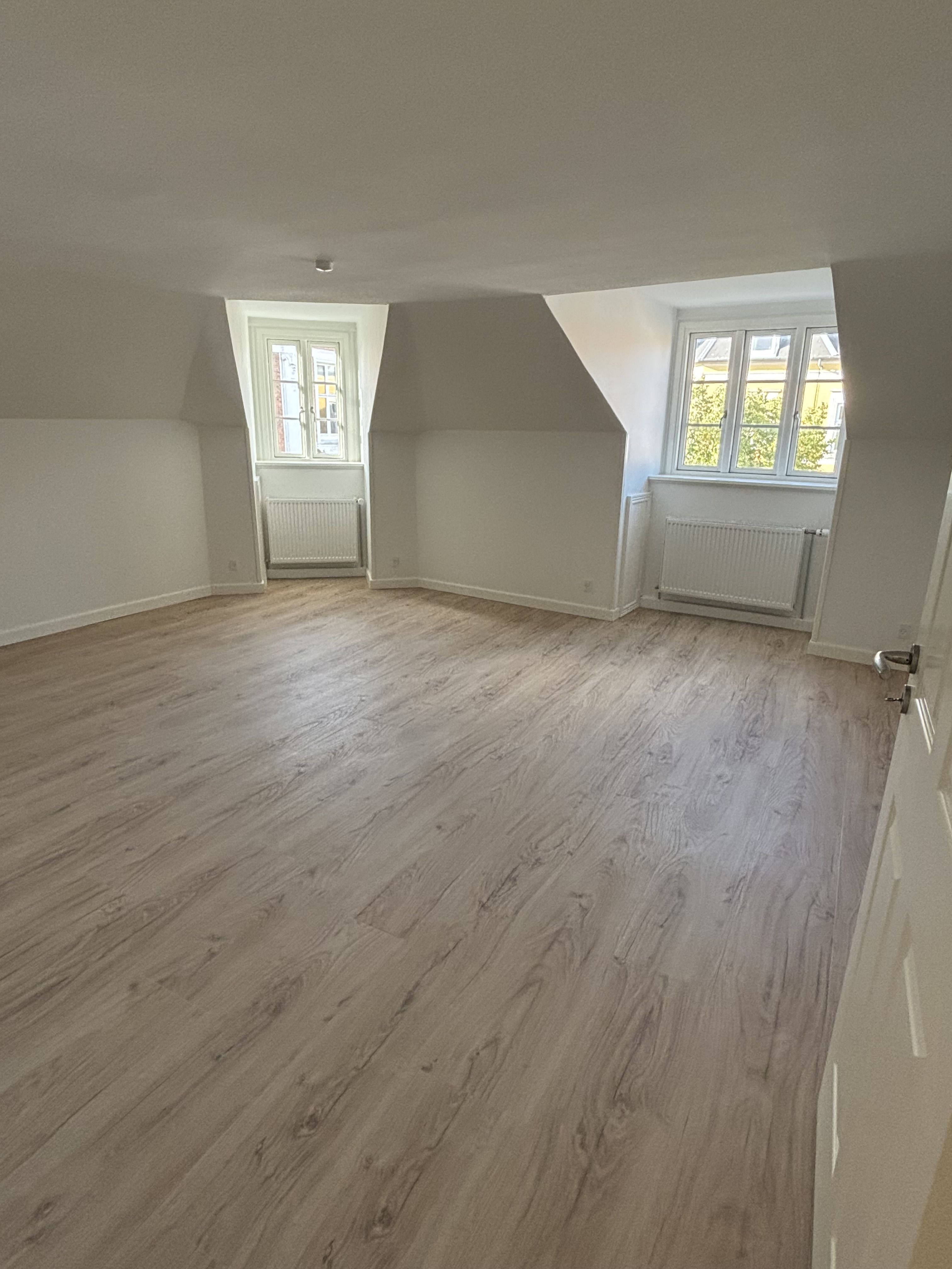 5 værelses nyrenoveret lejlighed på162 m2