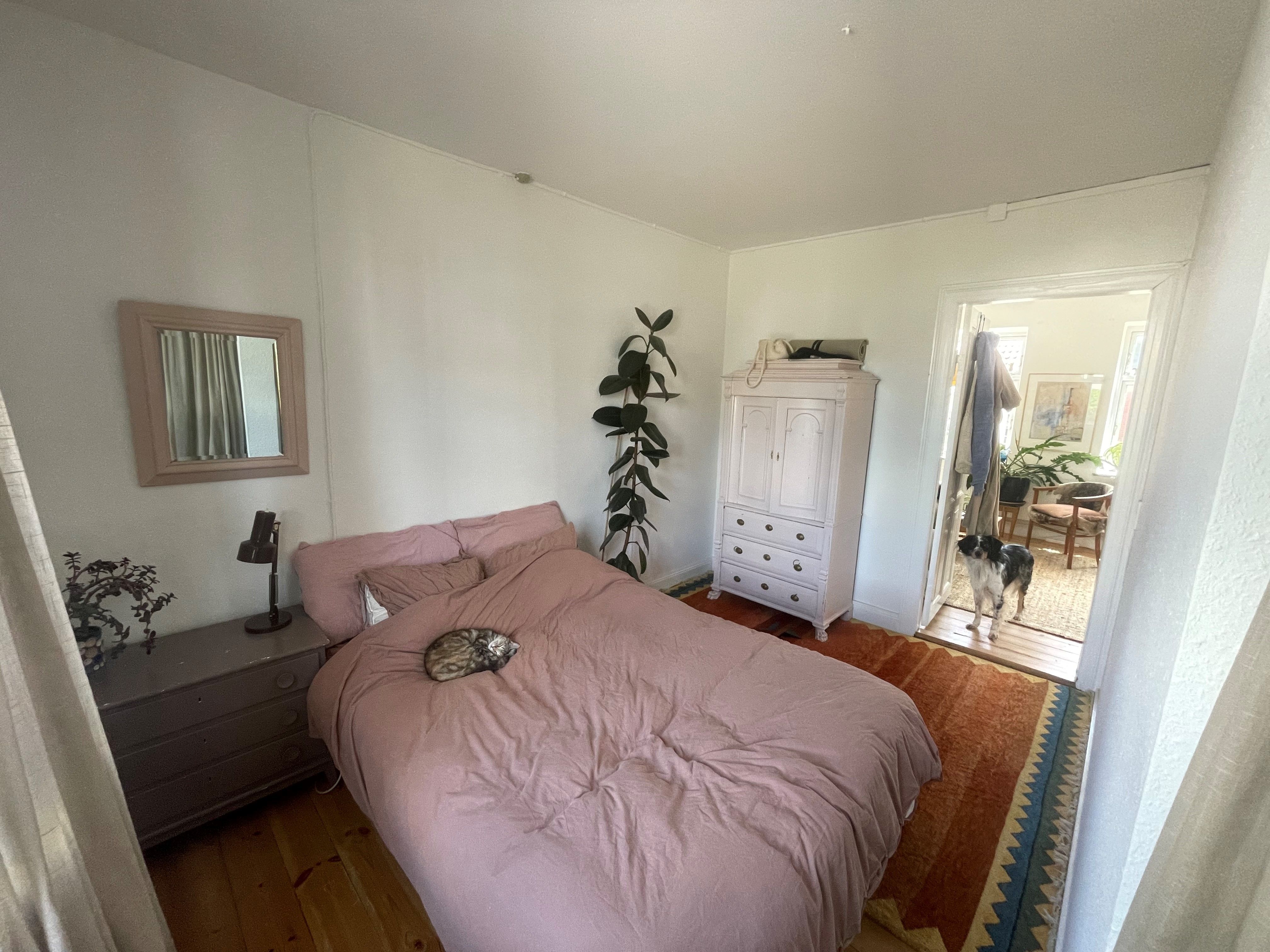 Totalrenoveret stuelejemål i Nyborg