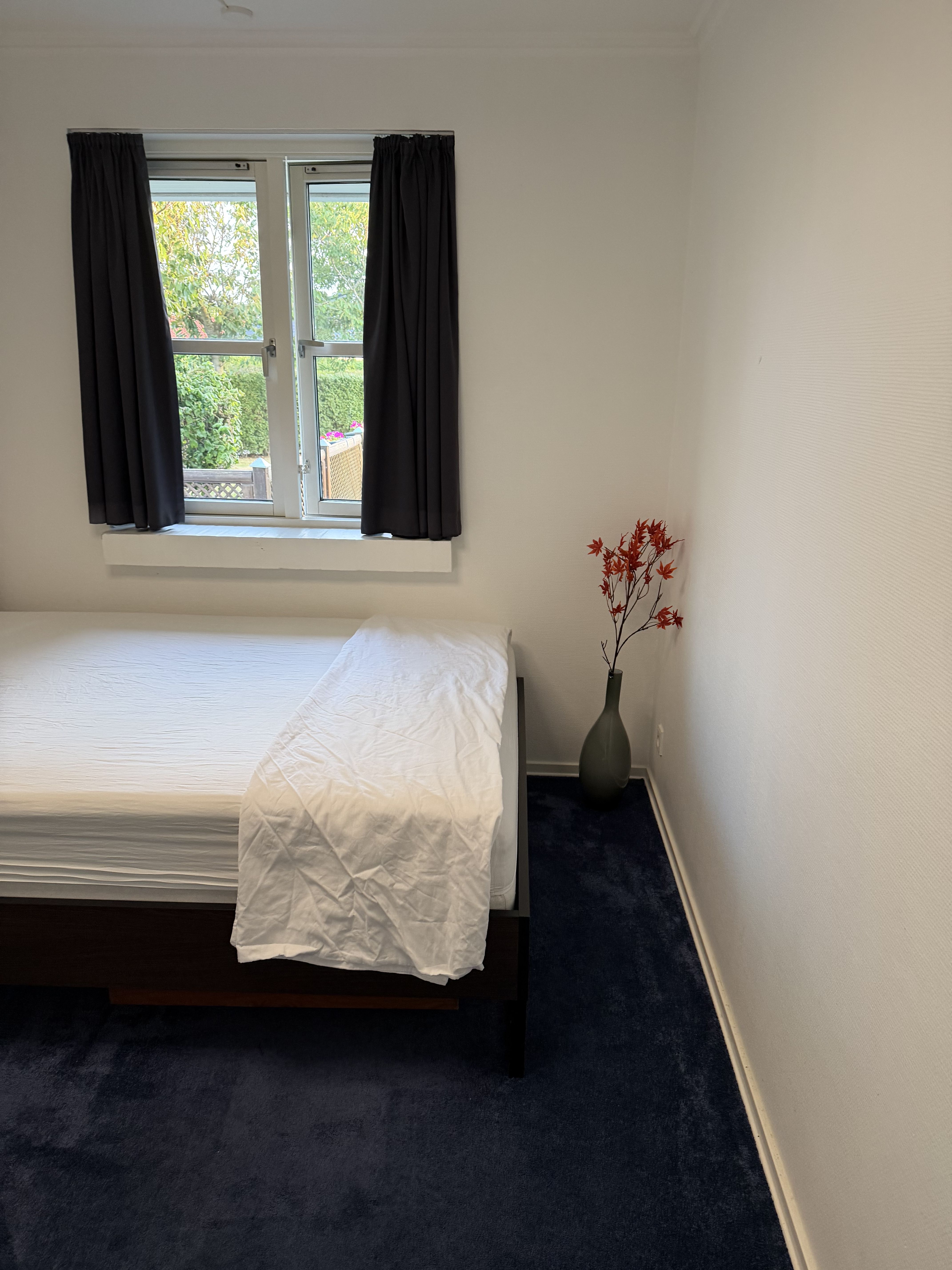 Værelse til leje (kun for piger/kvinder) 