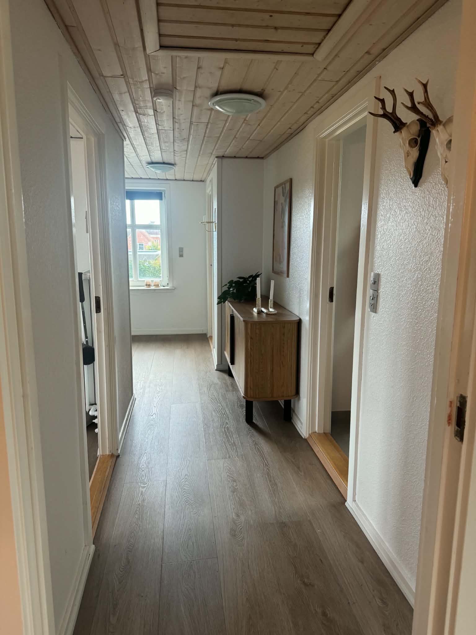 Dejlig lys 1. sals lejlighed udlejes