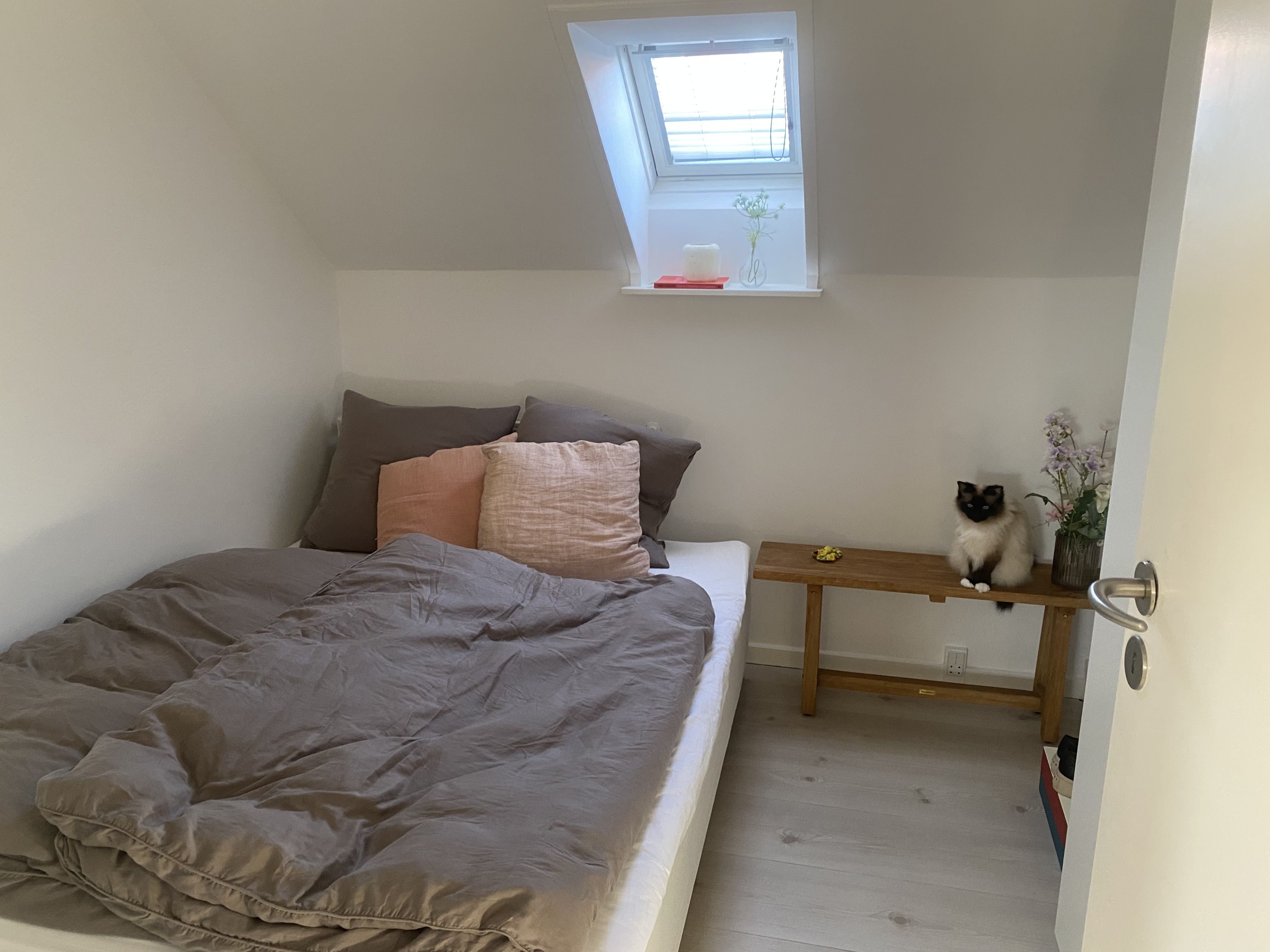 Amazing fully furnished 2 bedroom, parking 