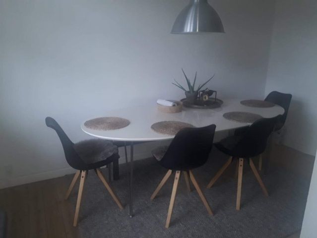 Nyrenoveret pæn lejlighed