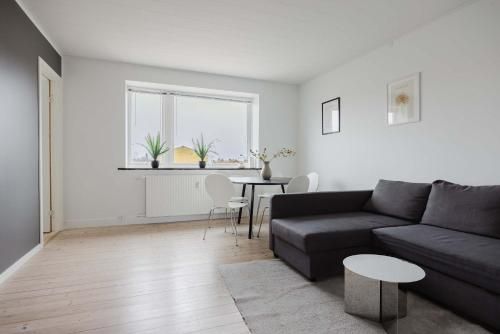 Spacious Apartment Near Copenhagen City Center
