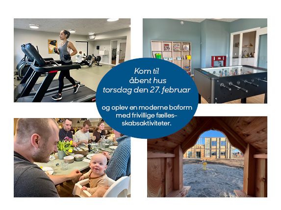 Rækkehus og fælleshus med boldspilssal, fitness, børnehule m.v.