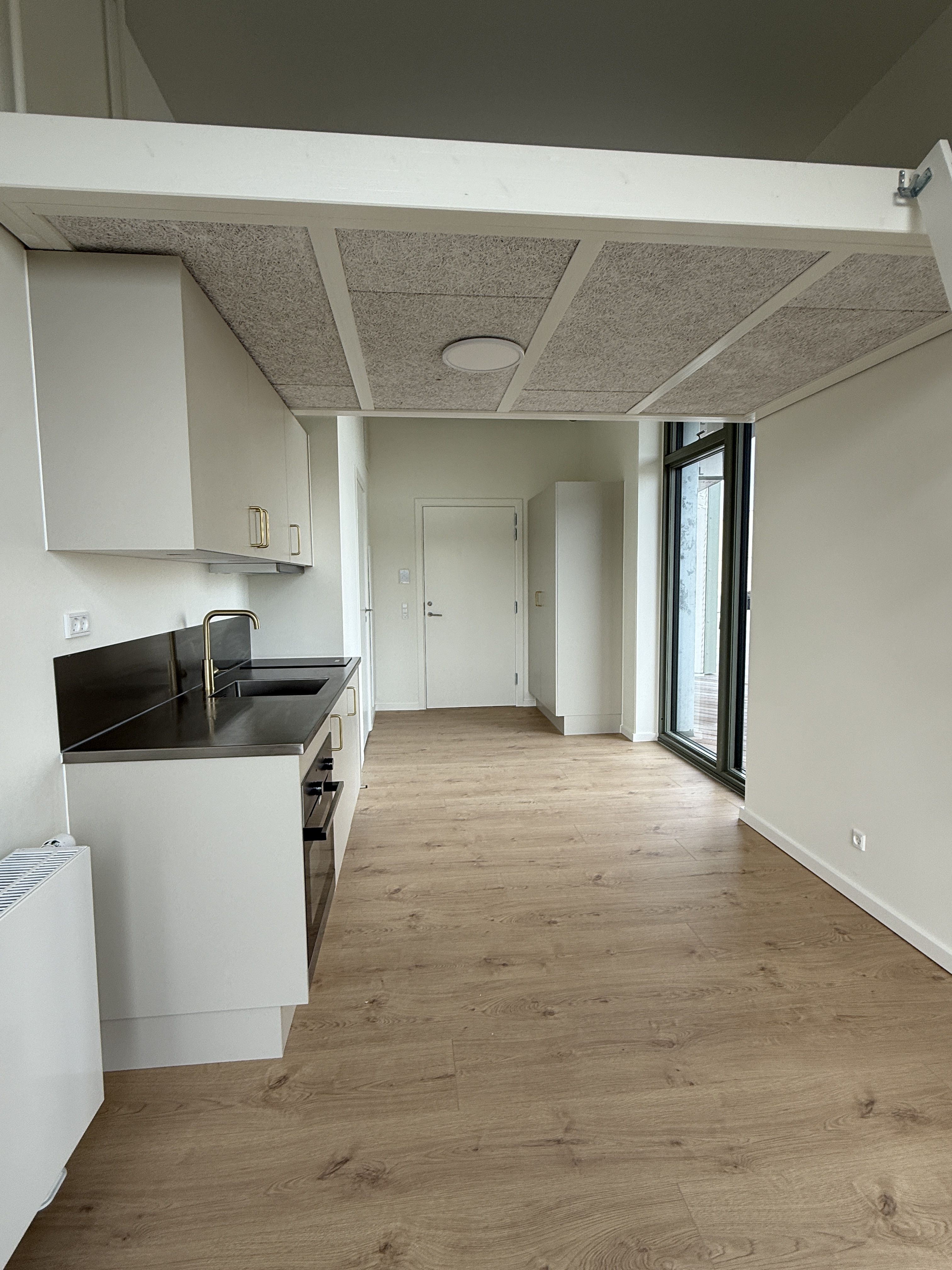 Lys 1-værelses lejlighed på 3. sal med hems, privat altan og 20 m² tagterrasse