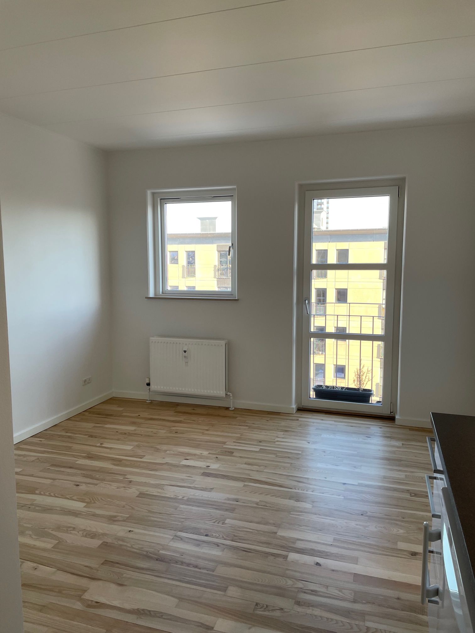 Studielejlighed udlejes