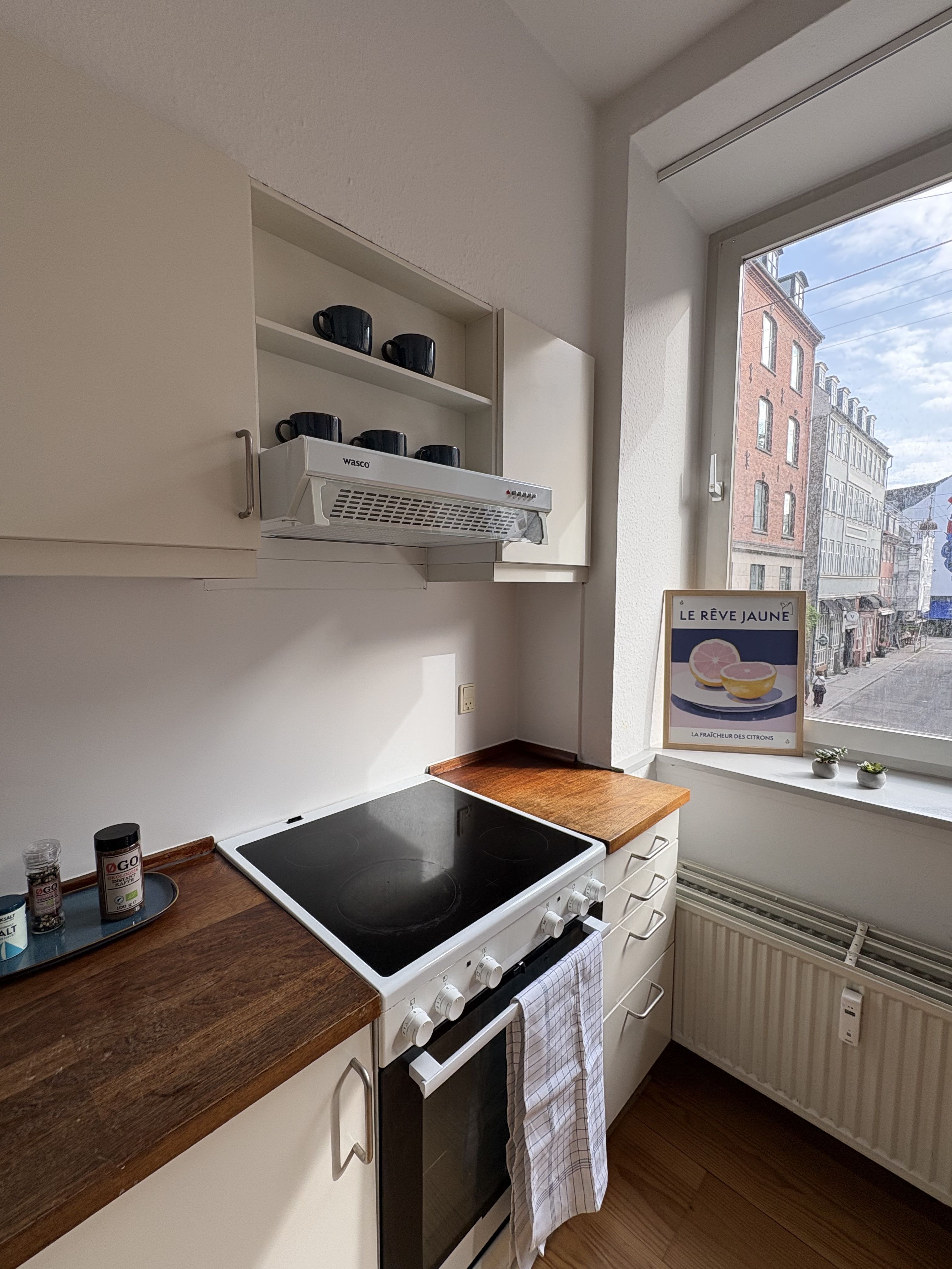 Amazing furnished apartment in the city 