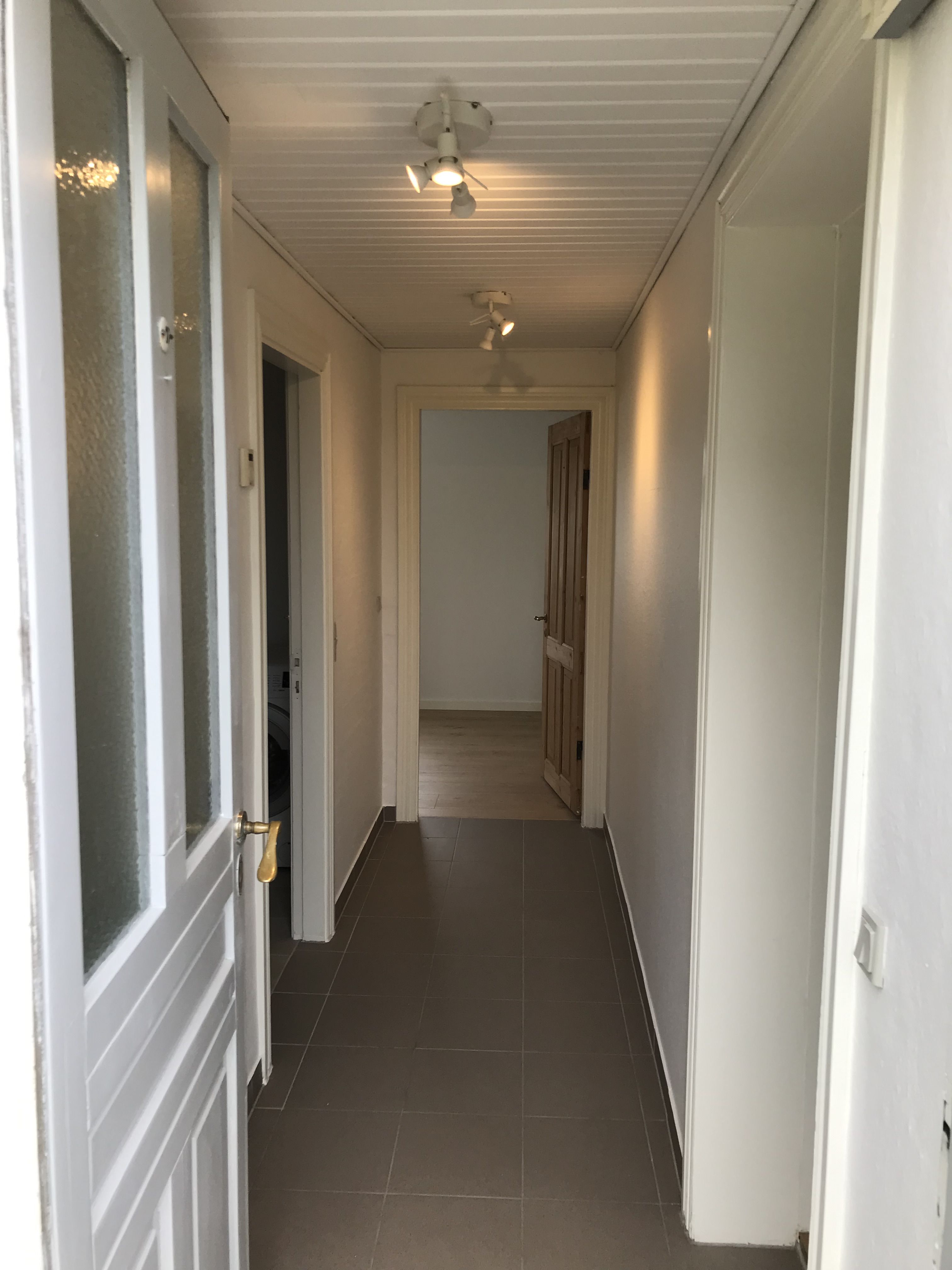 DEJLIG GÅRDHAVE MED AFTEN SOL