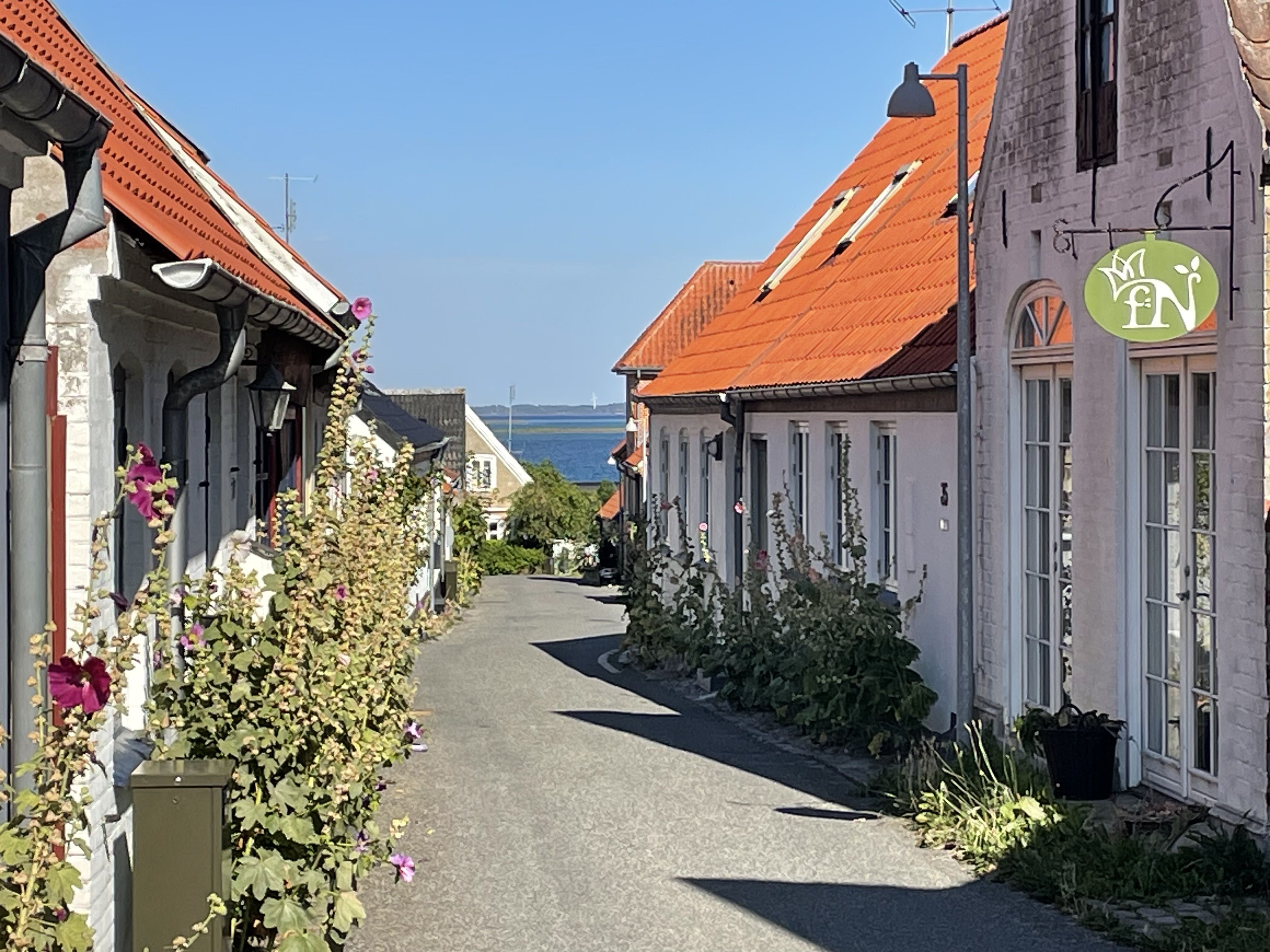 Mindre Byhus med have