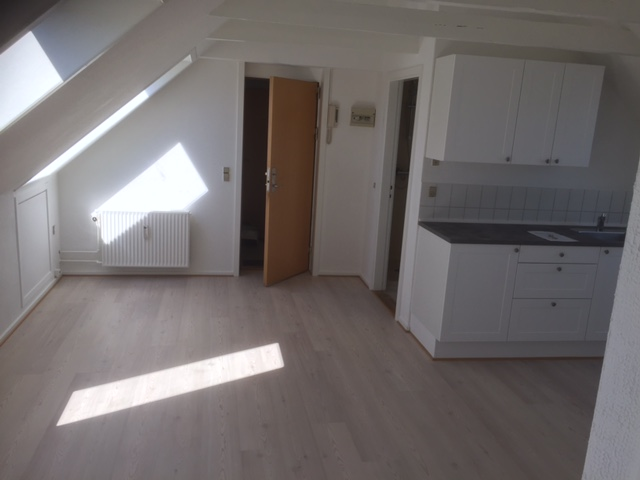 Hyggelig taglejlighed med hems