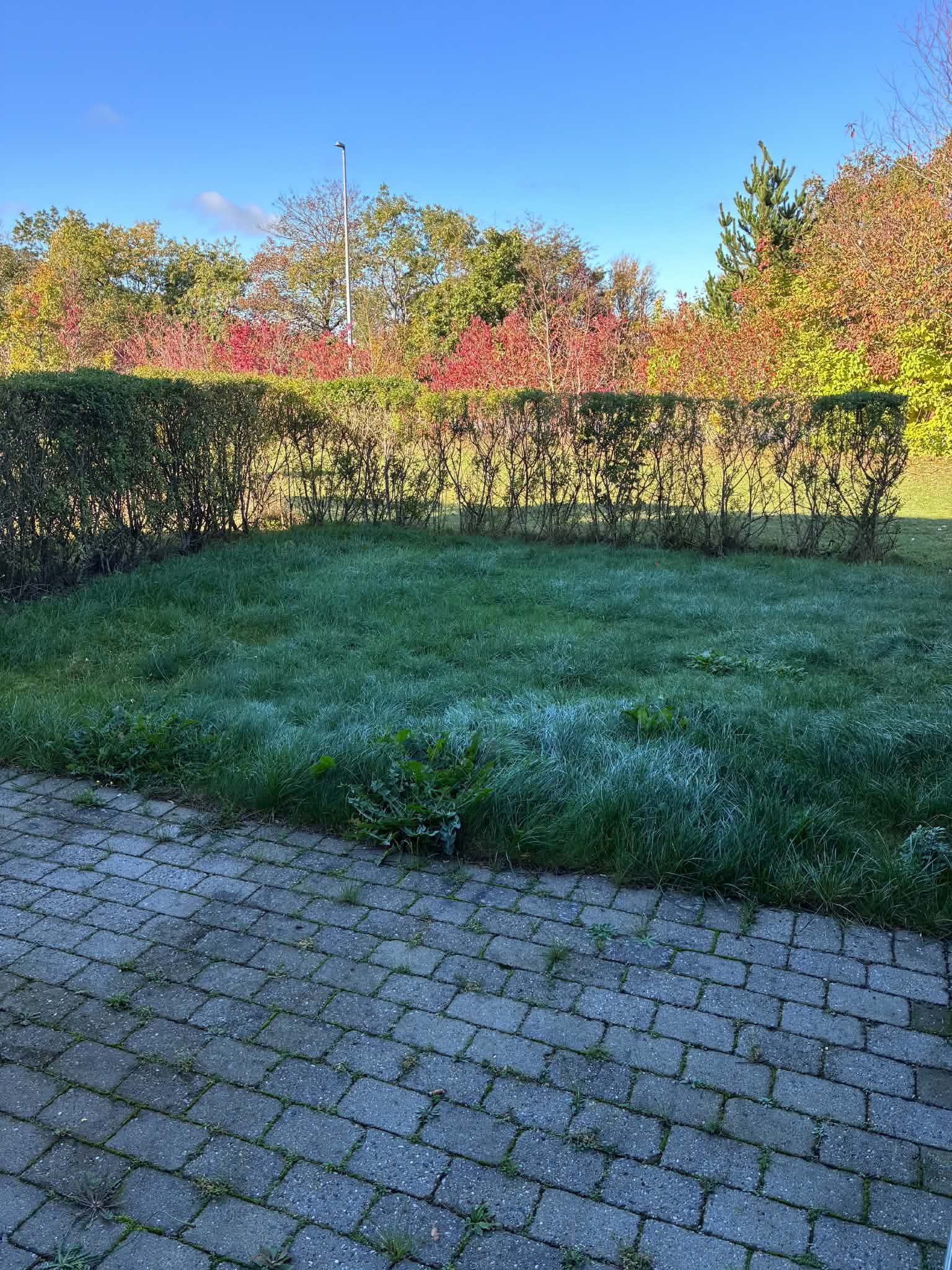 5 værelses rækkehus på Svalegangen i Vestbjerg udlejes