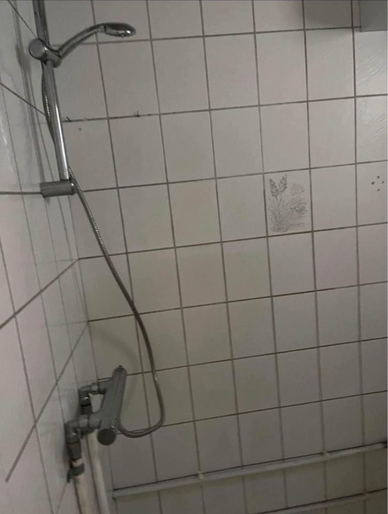 2 værelses hus i spøttrup 