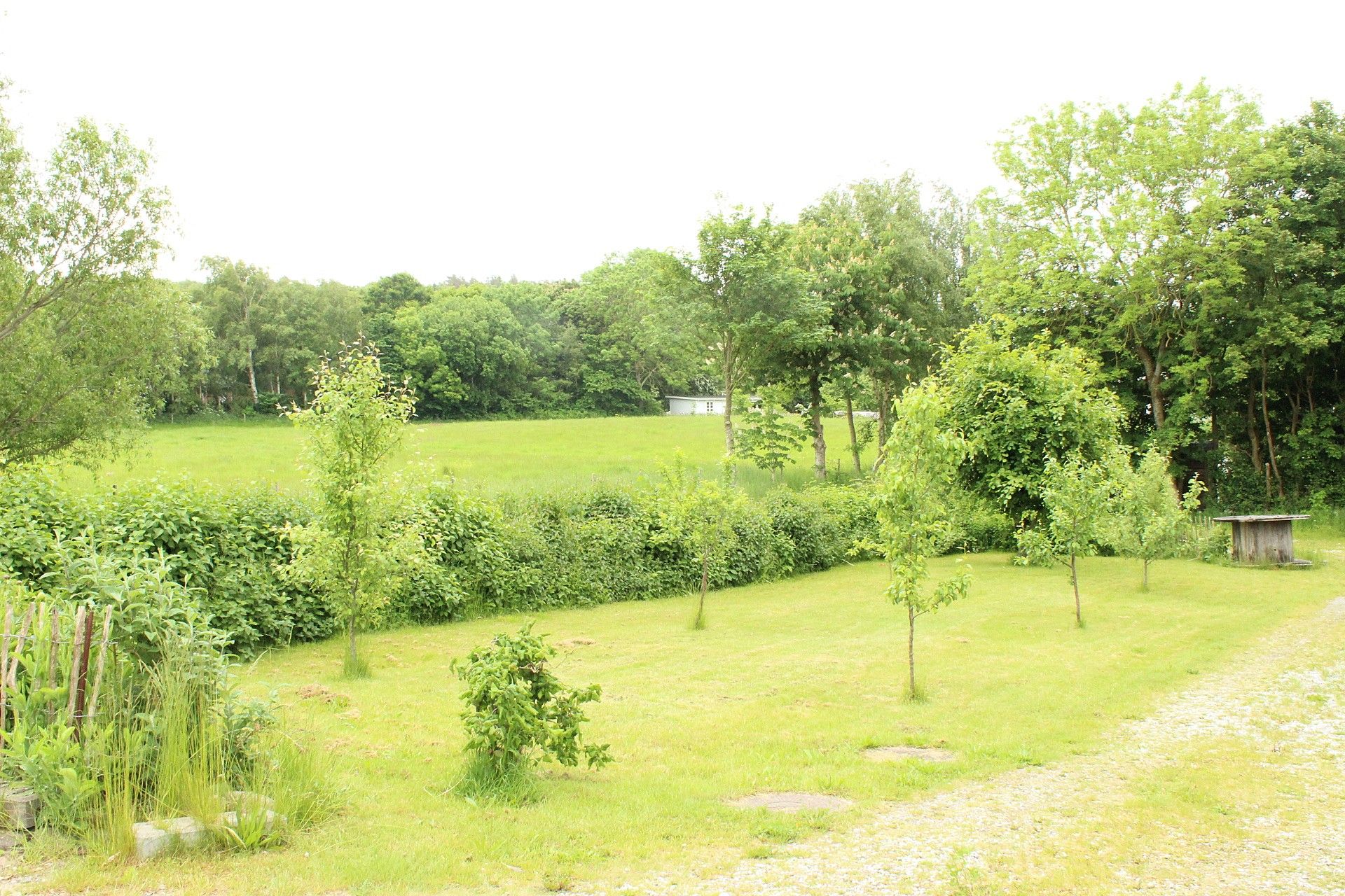 Gl. Købmandsgård med stor grund. - View 4