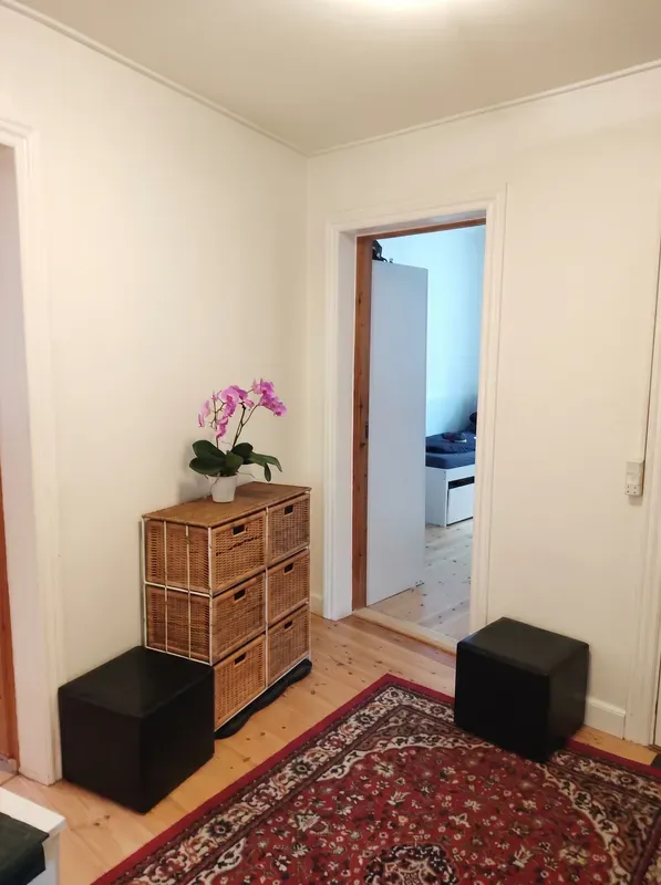 ✨ Bright, fully furnished, very spacious room (26 m2) suitable for a couple (or two friends or a single person), in a classical apartment in Frederiksberg 