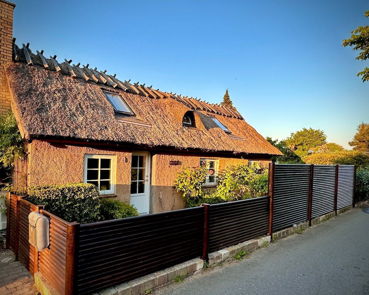 Gennemrenoveret stråtækt villa på 145 m² med 3 soveværelser og stor have i Greve