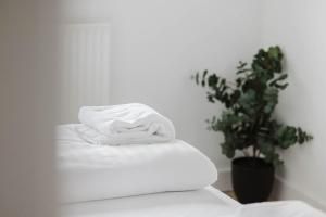 Spacious Apartment Near Copenhagen City Center - 116 m² - 28.500 kr
