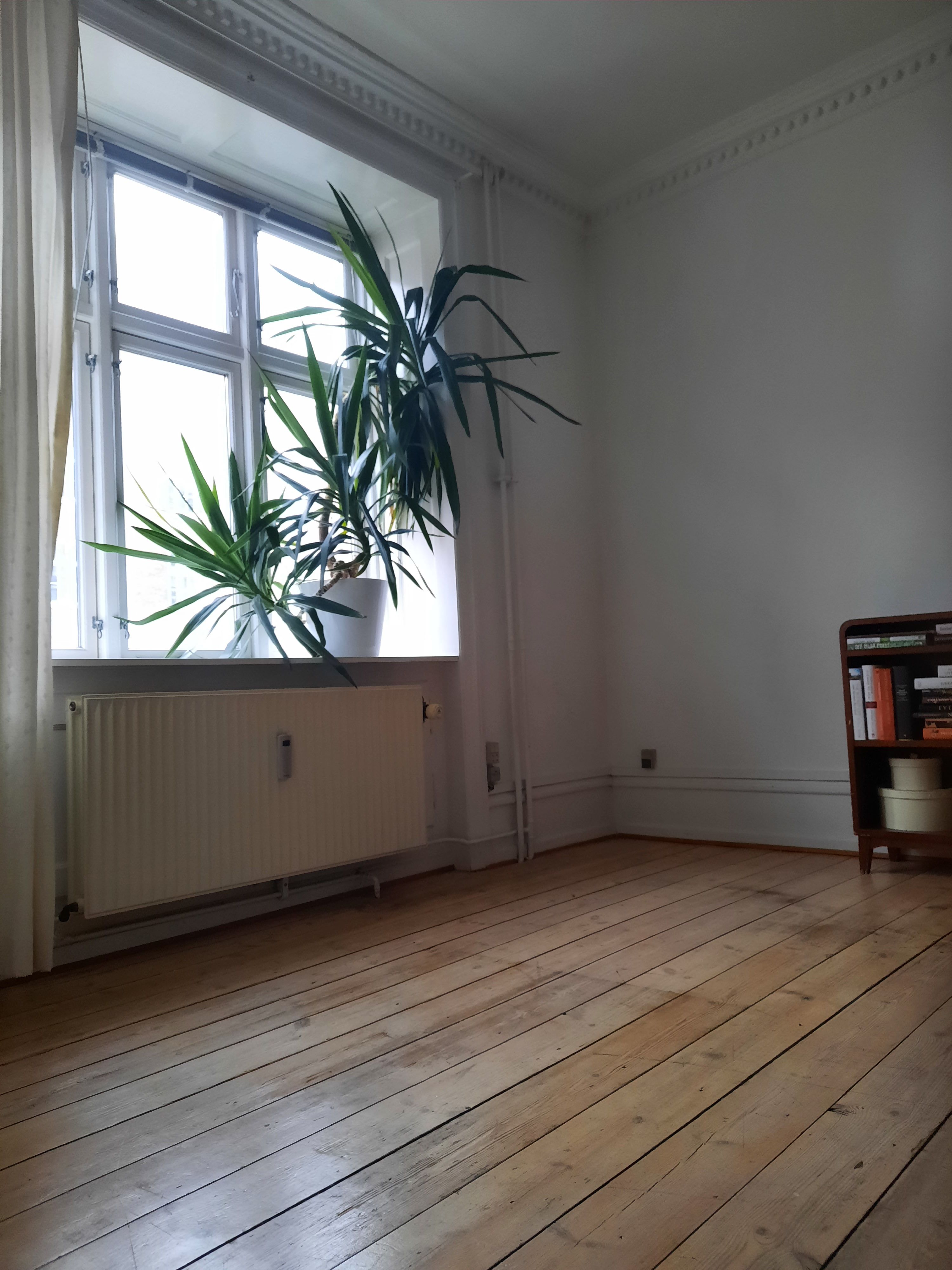 Lovely Furnished Room for Rent in trendy Vesterbro