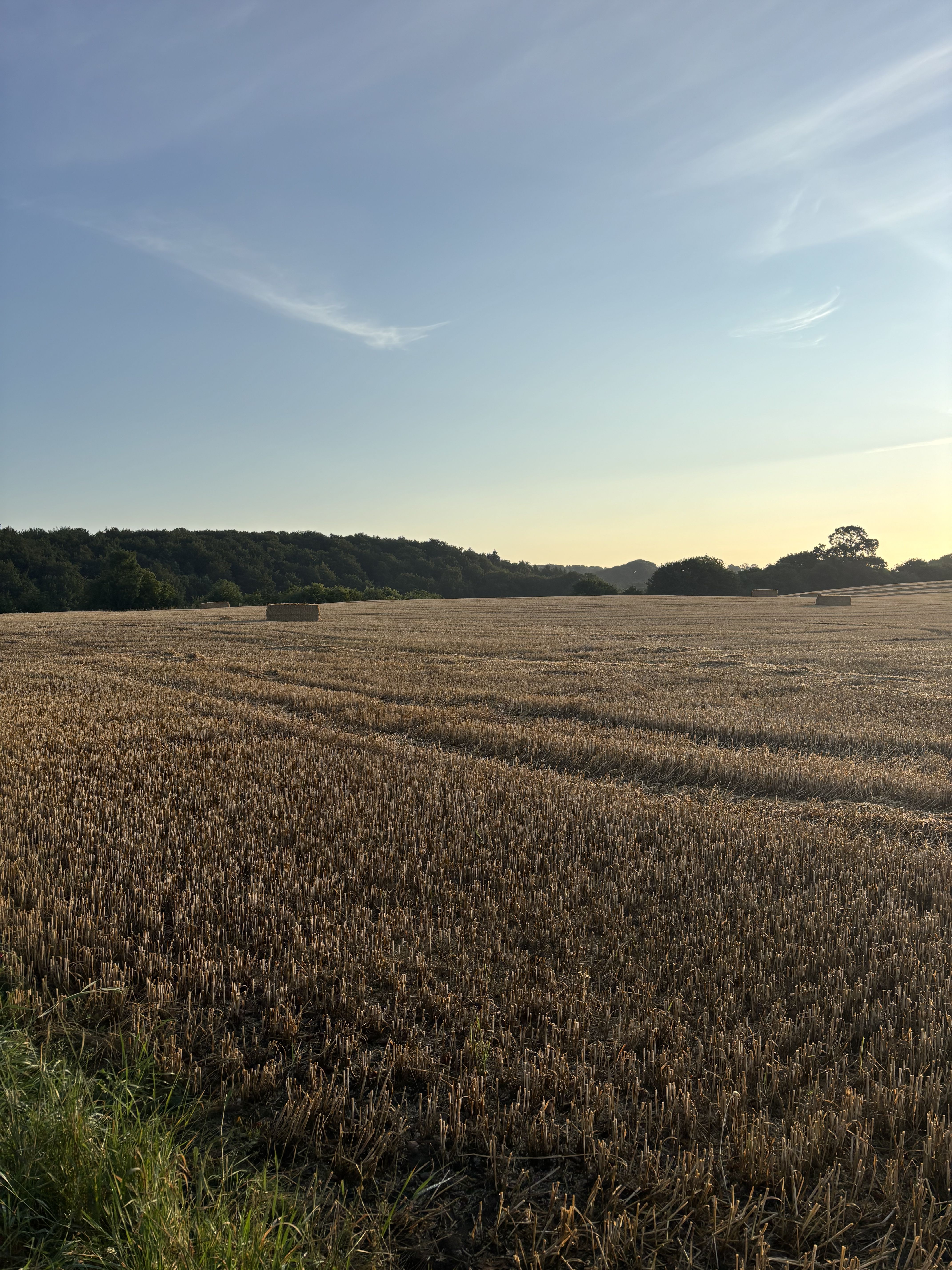 Landhus ved Ledreborg skov i Lejre