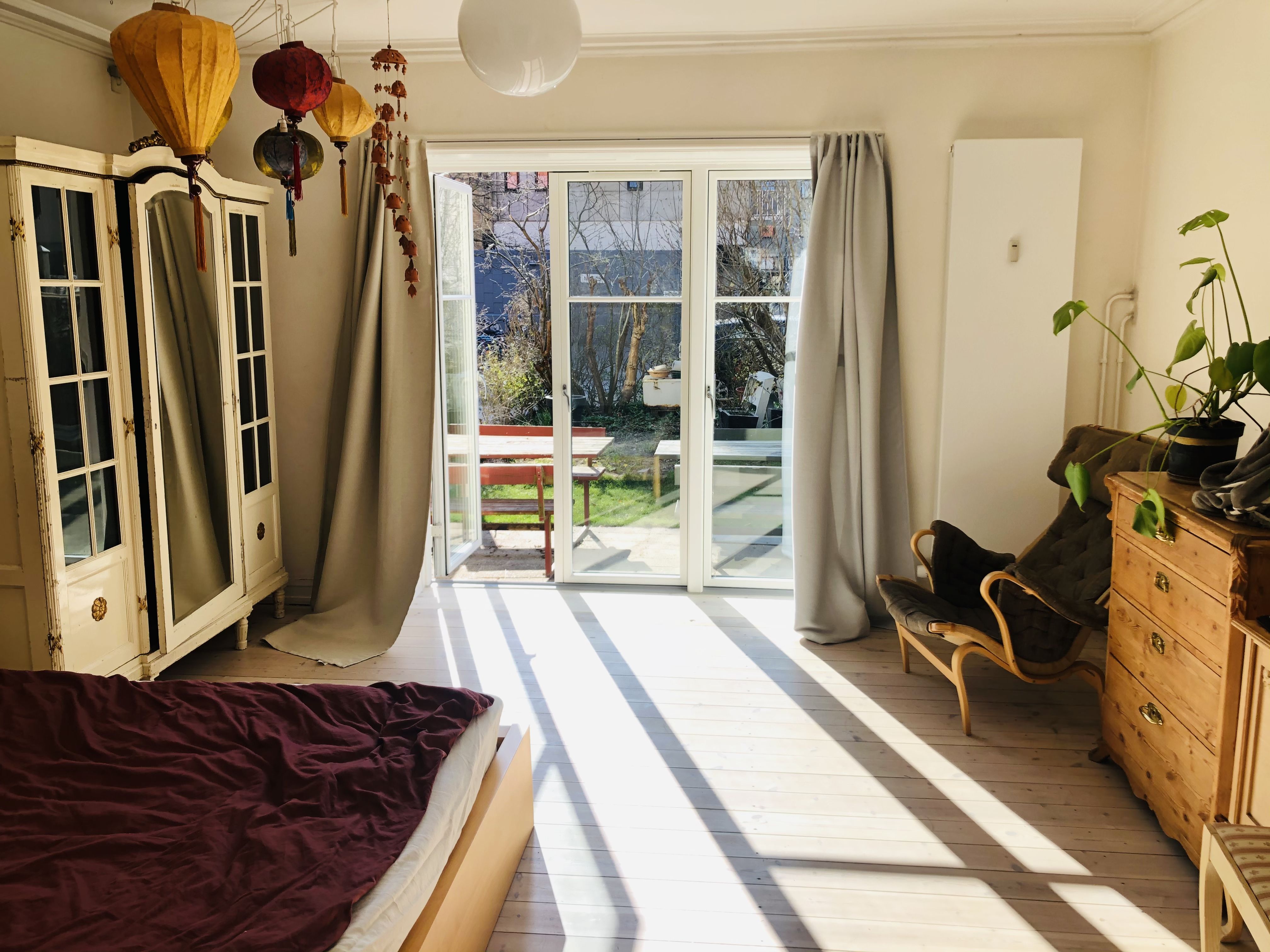 Room with garden and a cat