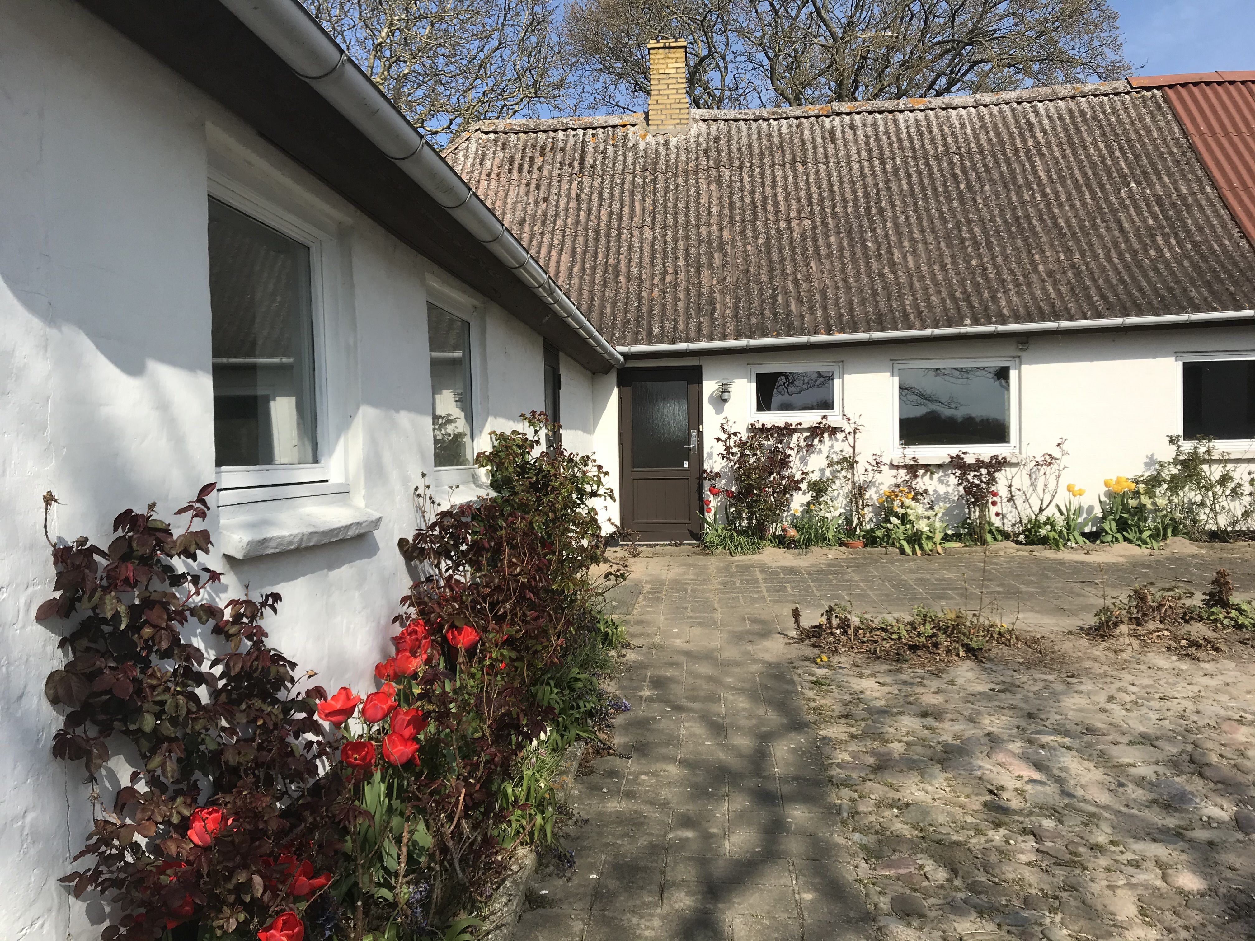 Den smukkeste natur på Hindsholm
