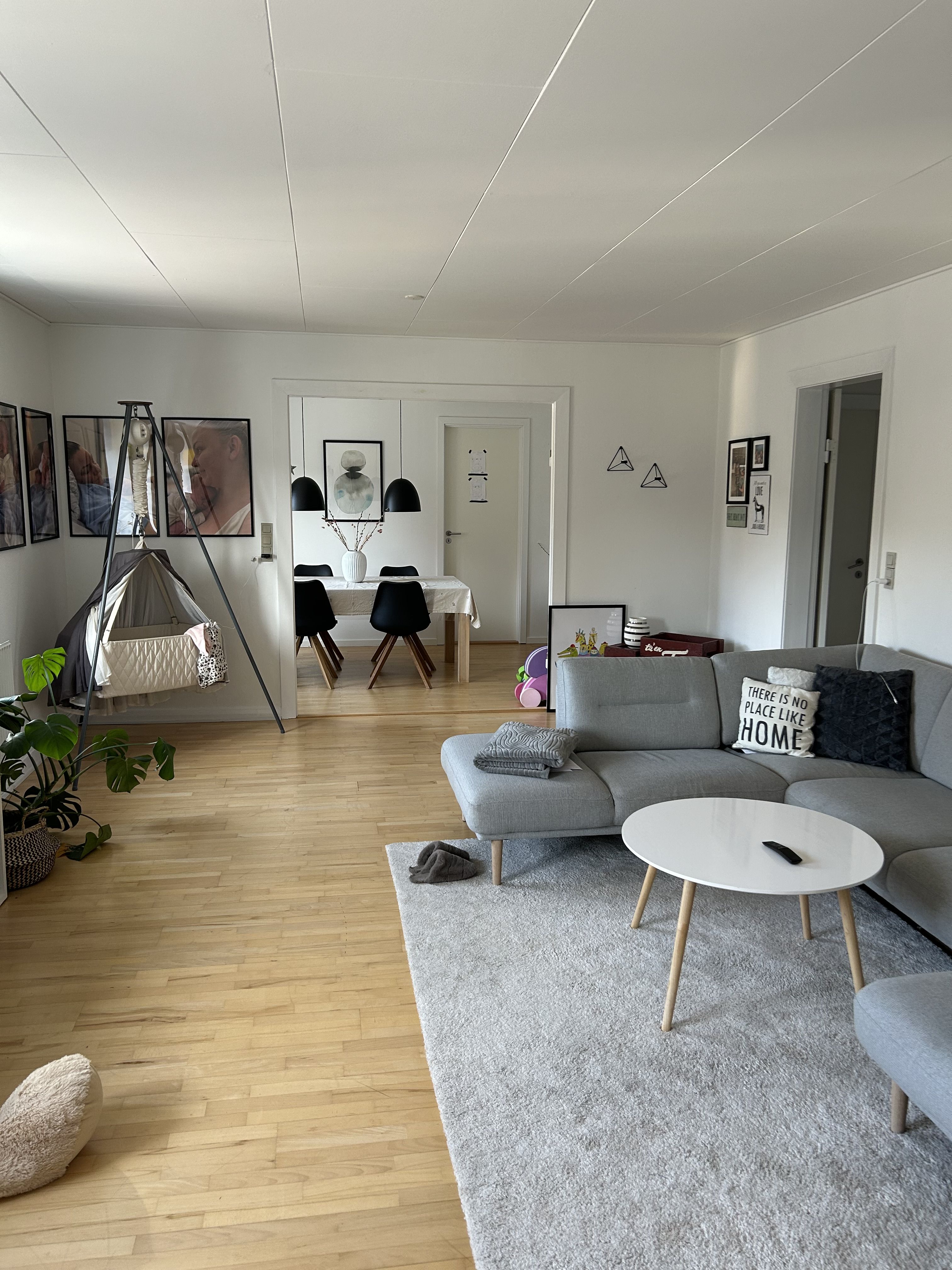 Skøn, stor lejlighed i centrum