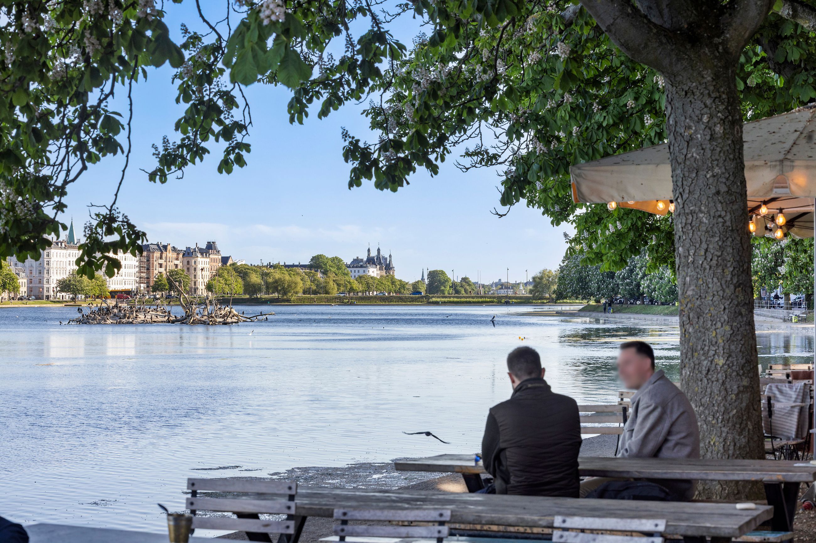 Lejlighed – København Ø, Østervold, Østerbro - Visning 5