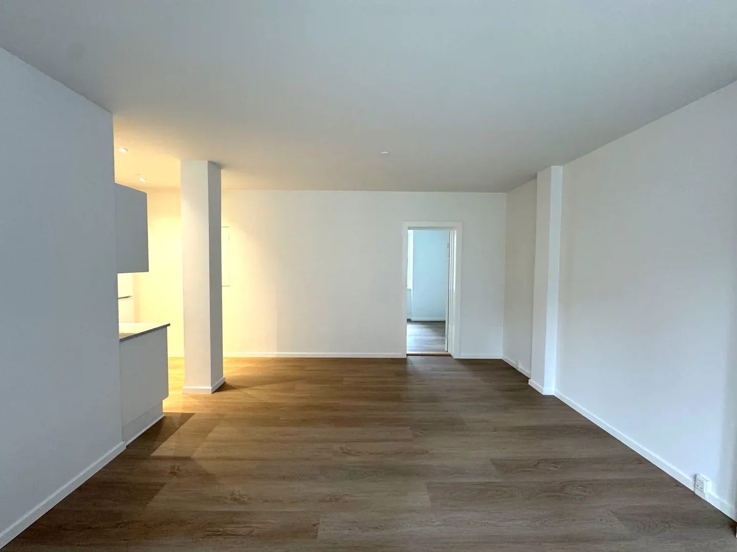 Lys lejlighed centralt i Aalborg