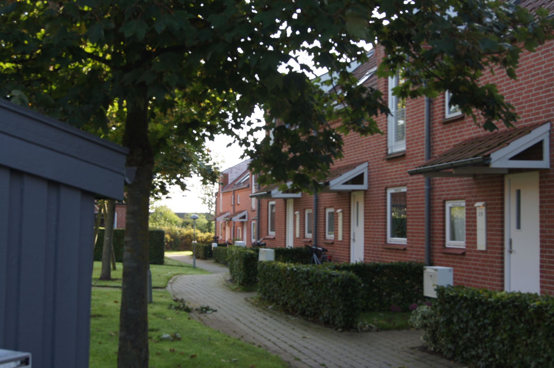 Hus – Hammel - Visning 3