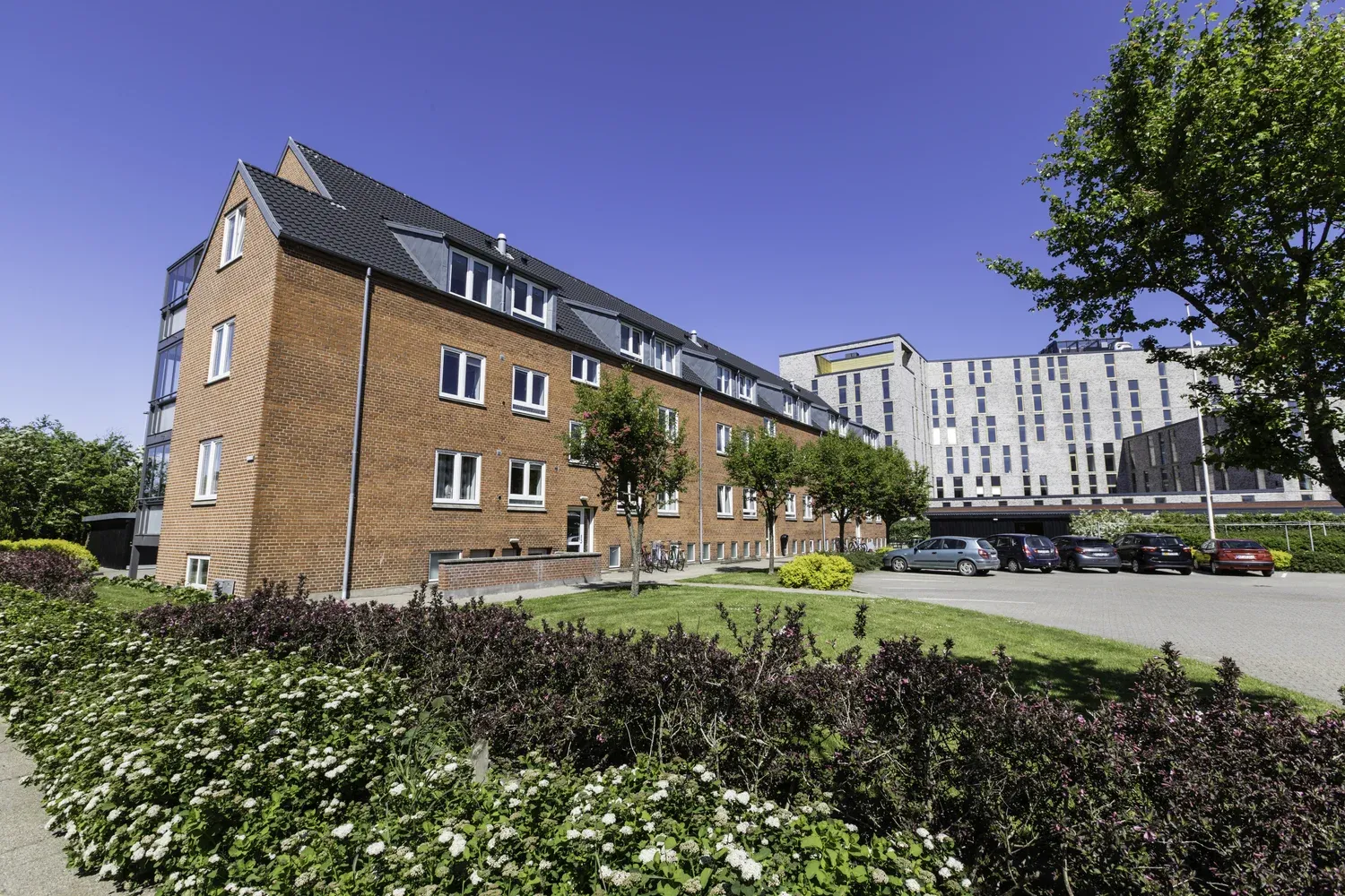 Afdelingen er beliggende på Holbergsvej i nærheden af Lavhedecentret, Gråkjær Arena, Stationen, VIA, daginstitutioner og Rolf Krake Skolen.