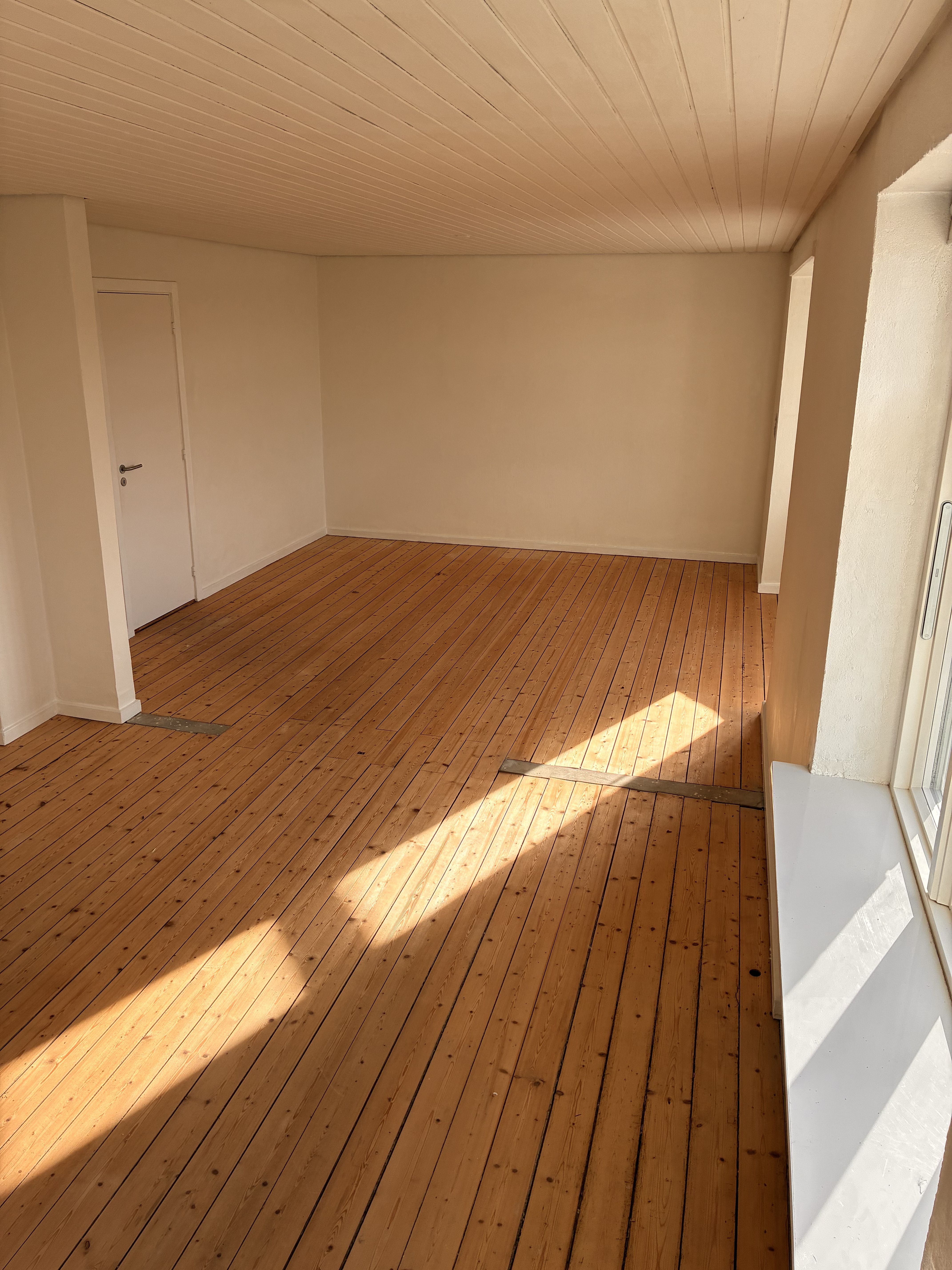 Stor lys 2 Værelset lejlighed ved Aalborg kridtgrav