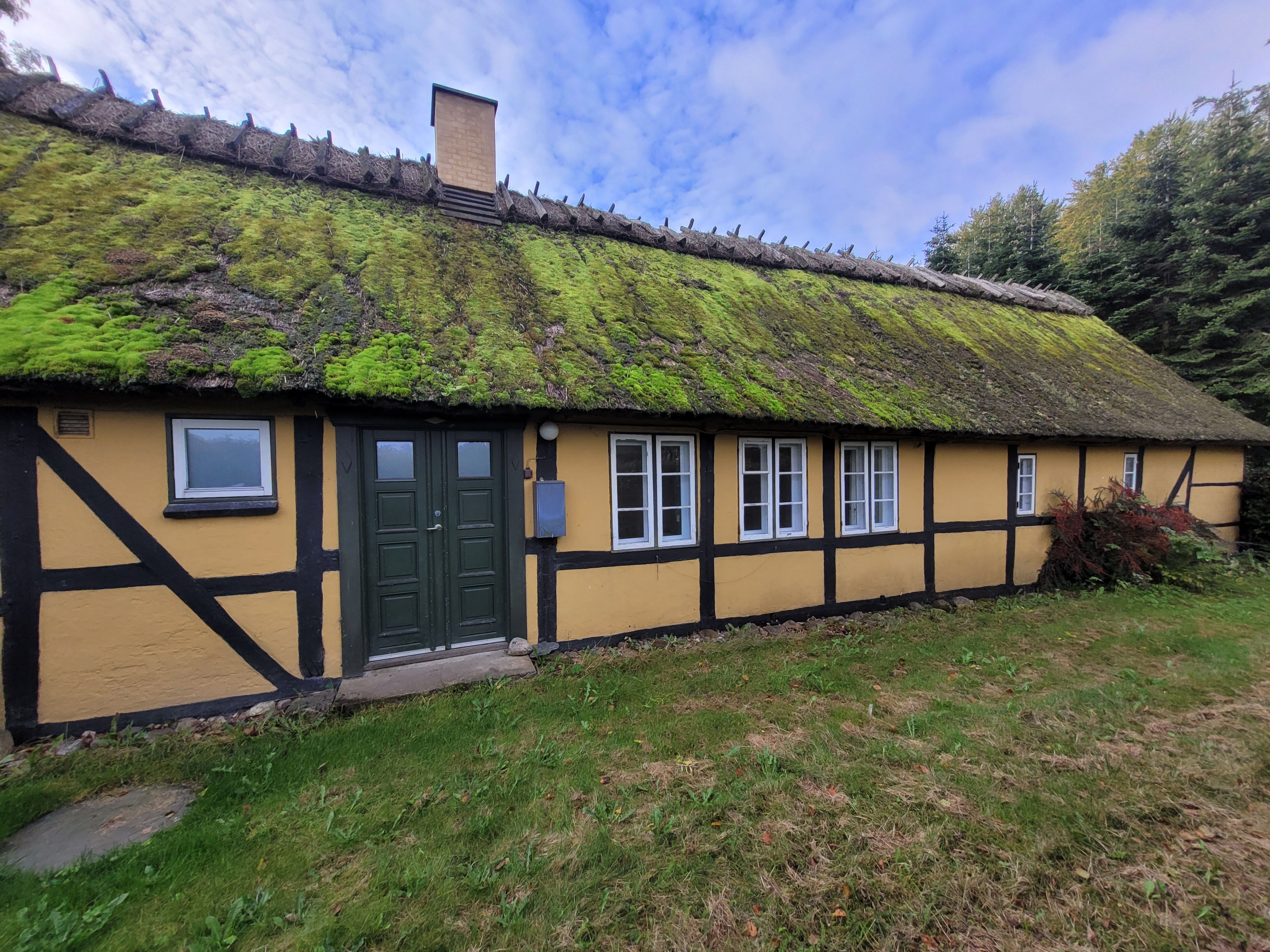 Skovhus udlejes