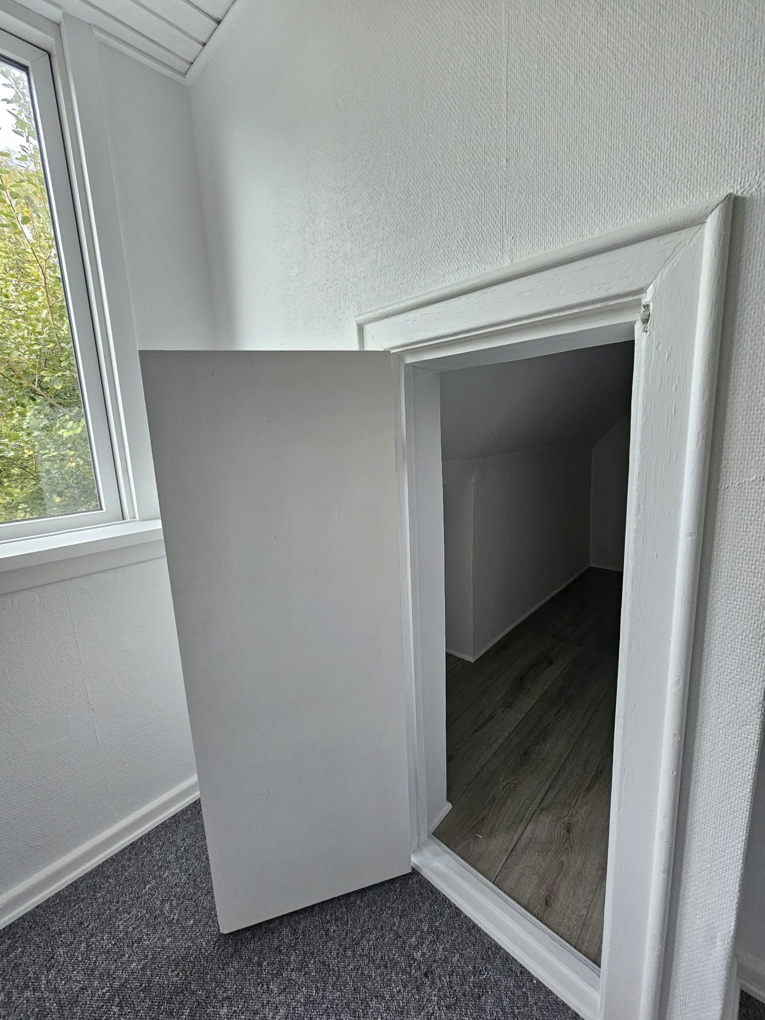 1 værelse
