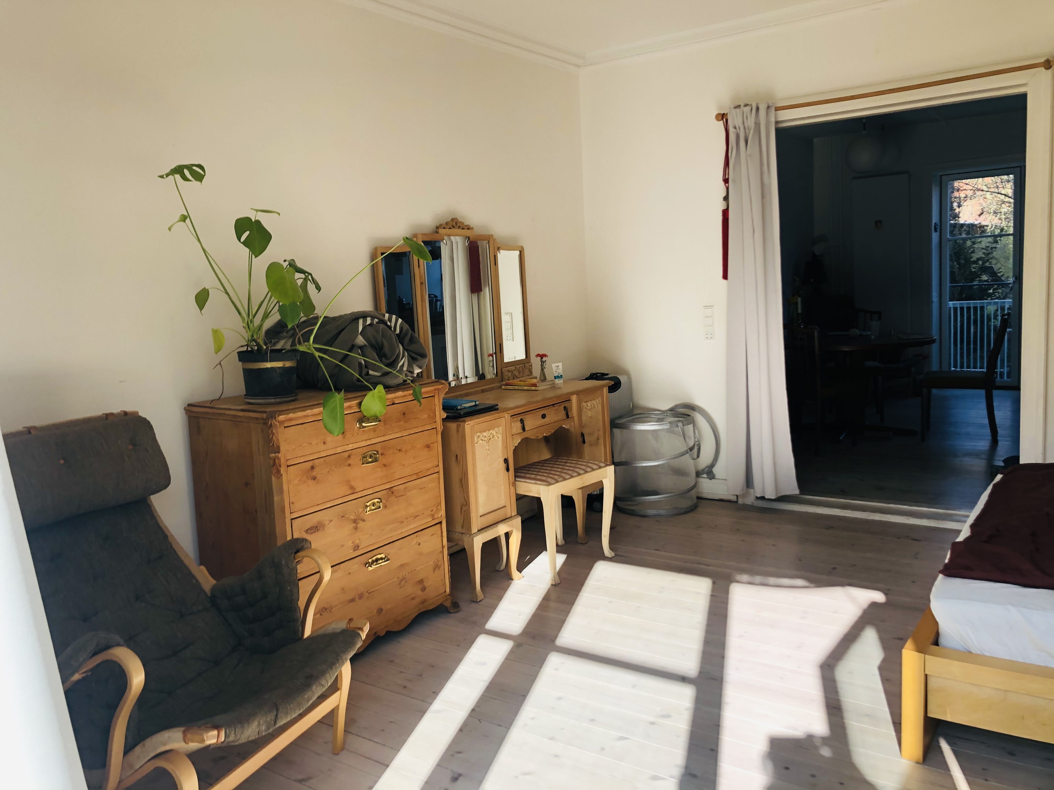 Room with garden and a cat
