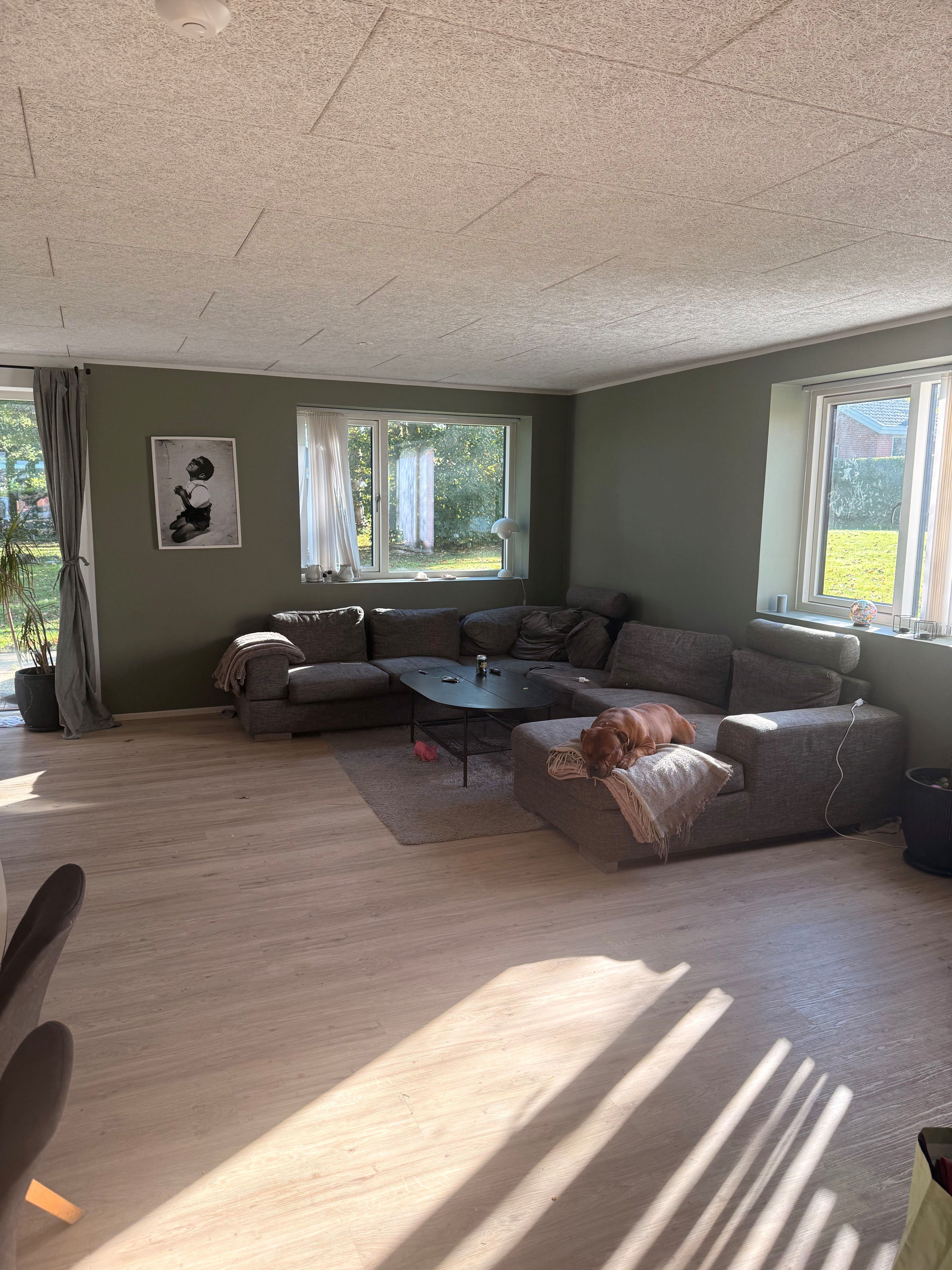 Dejligt rækkehus i rolige omgivelser