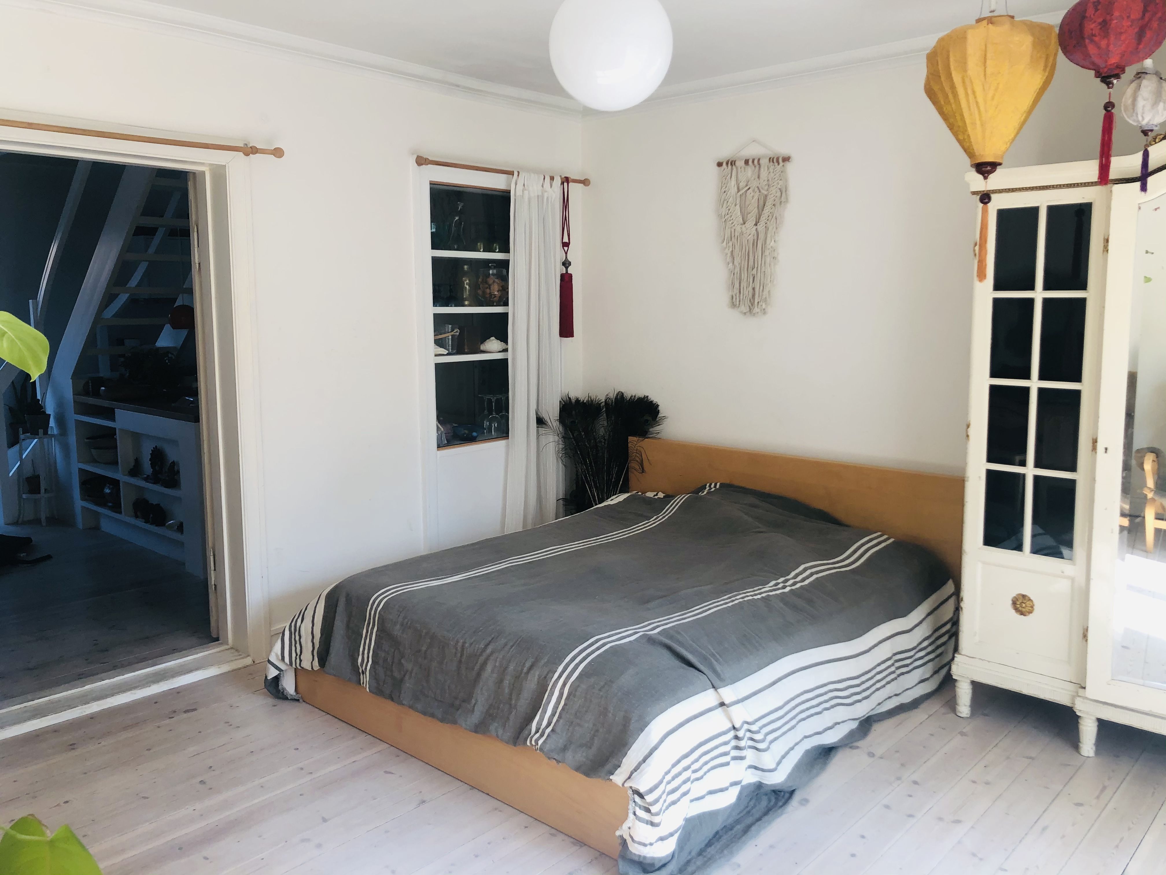 Room with garden and a cat