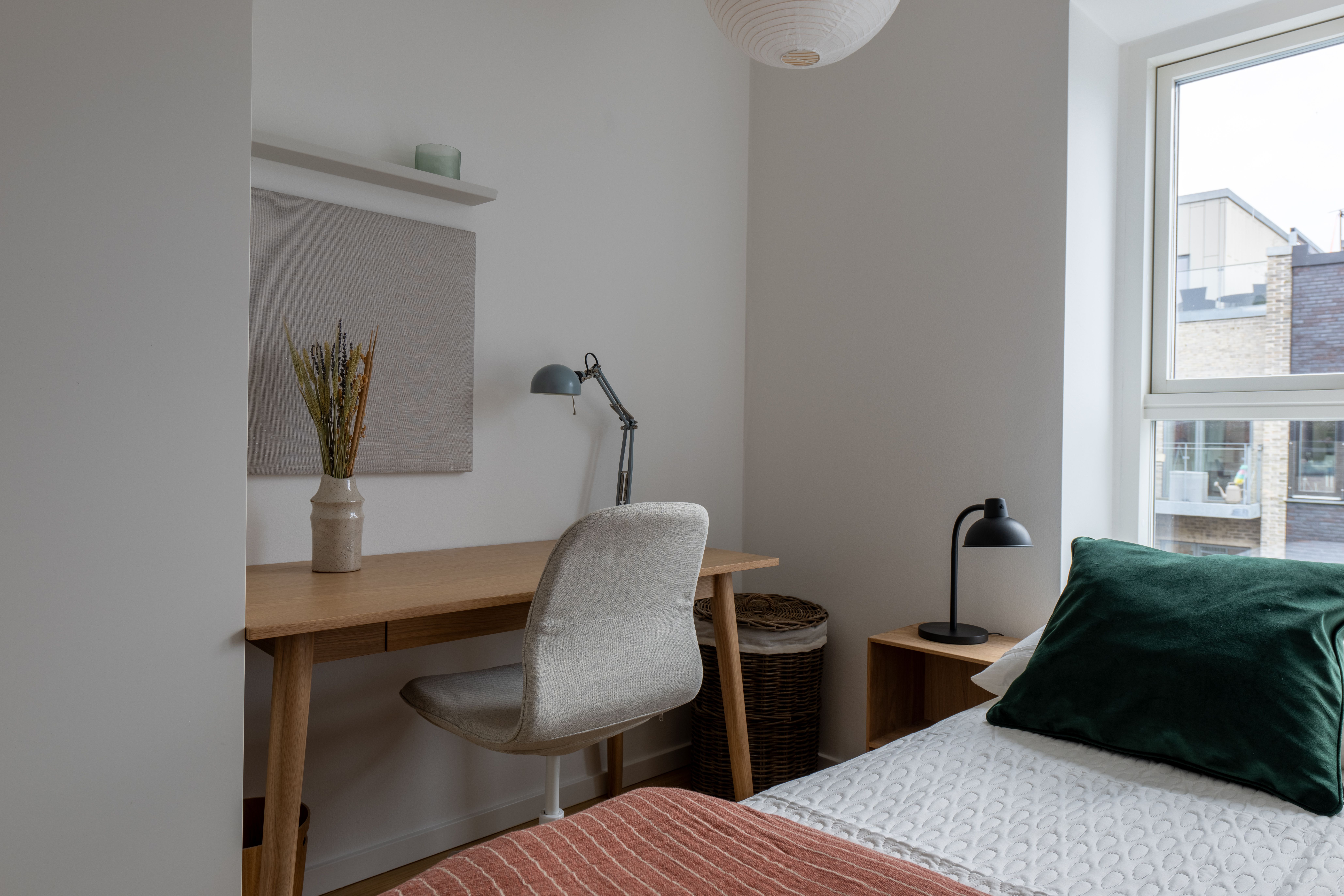 Furnished co-living apartment for working professionals