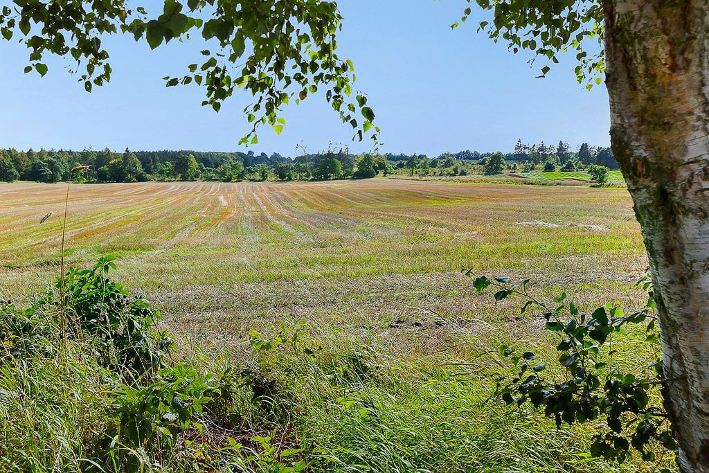 2 værelses rækkehus på Skovvænget i Auning udlejes