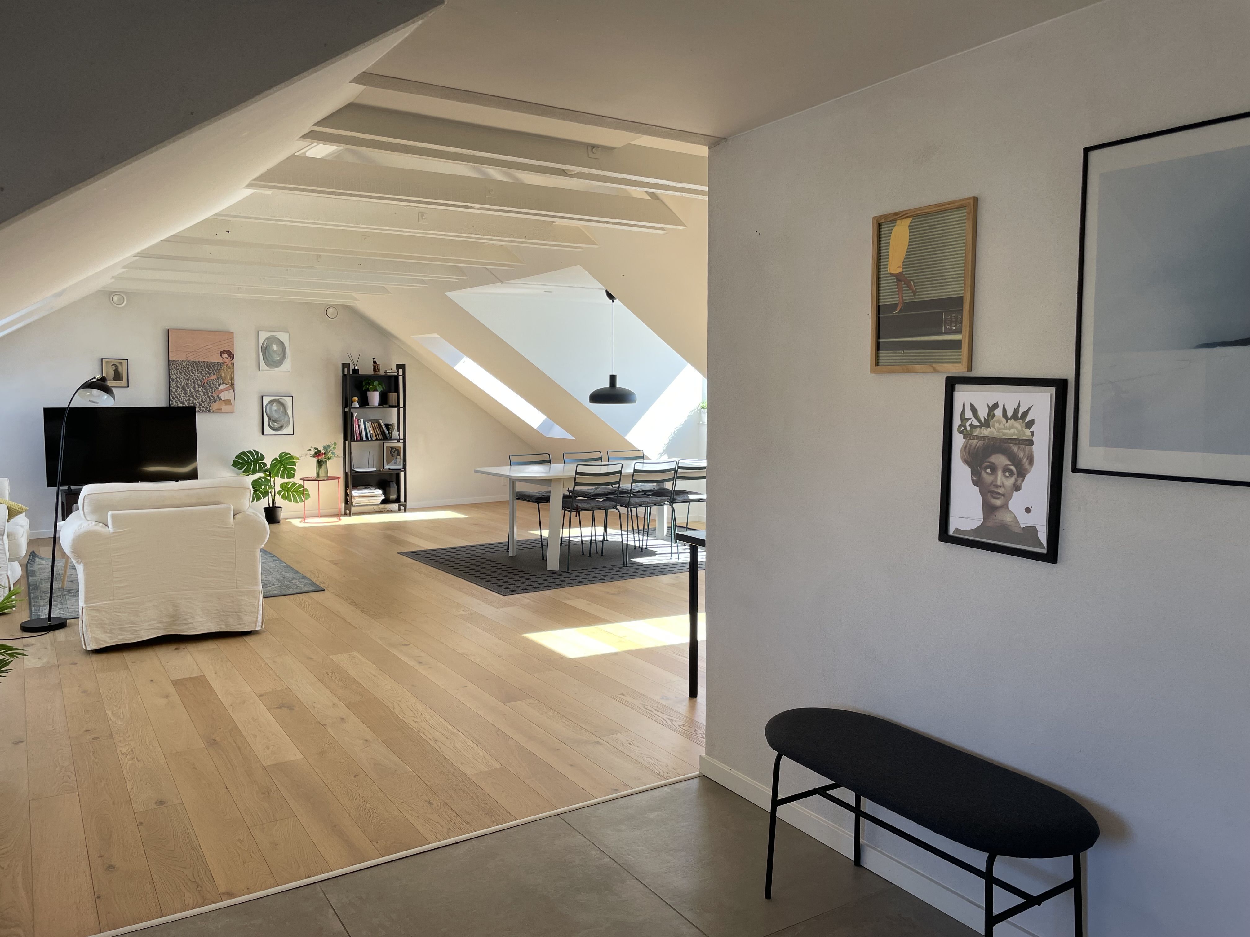 Stor og lys penthouselejlighed til leje i Aalborg Centrum