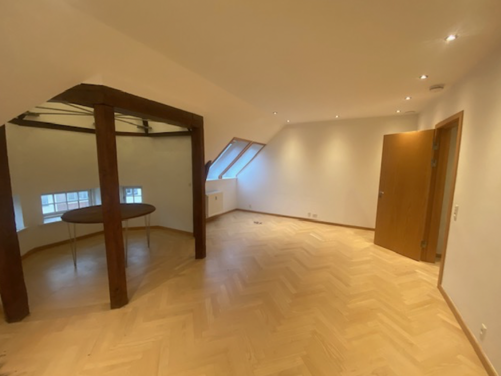 Hyggelig penthouse tæt på Rådhuspladsen