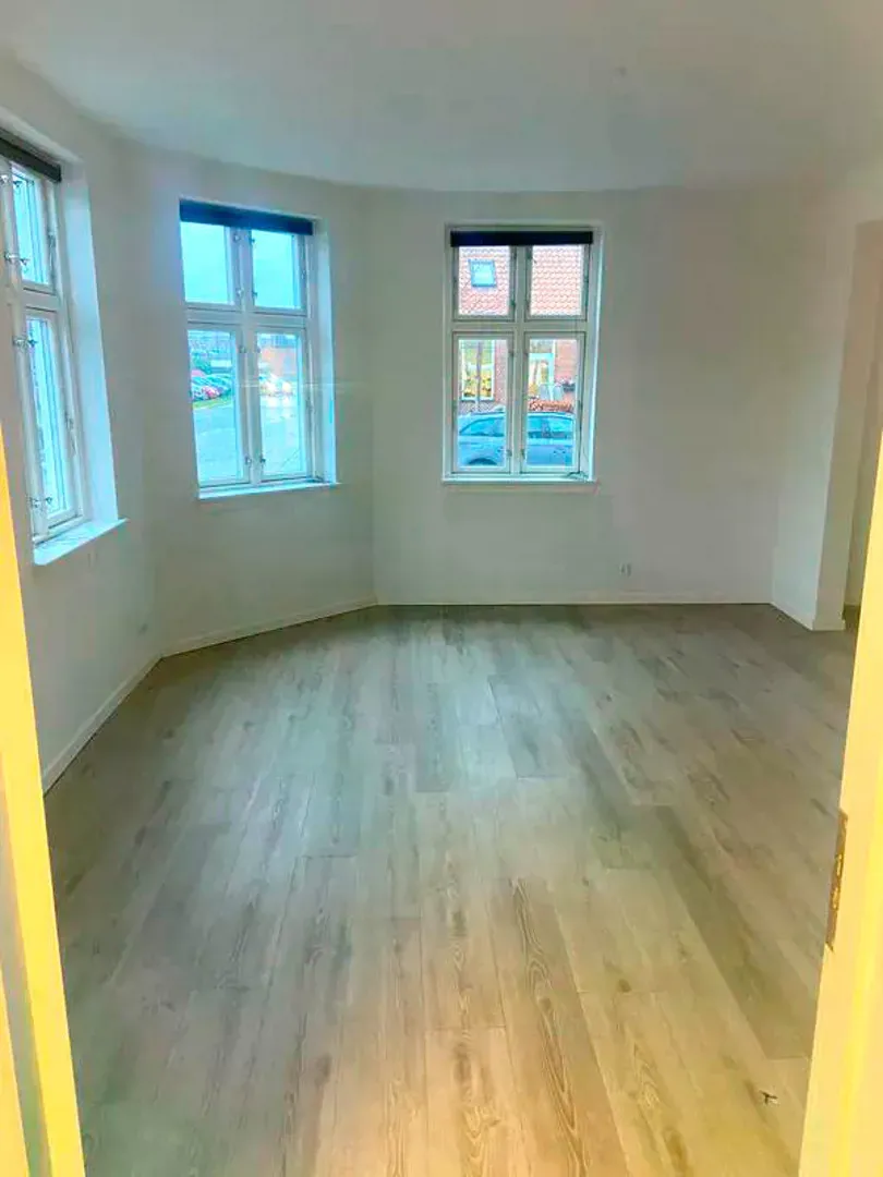 Lys og velindrettet lejlighed med moderne køkken centralt i Vejle