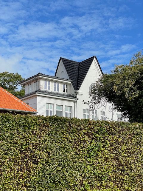 ÅLYKKEGADE - 106 m2 udsigtslejlighed med stor tagterrasse
