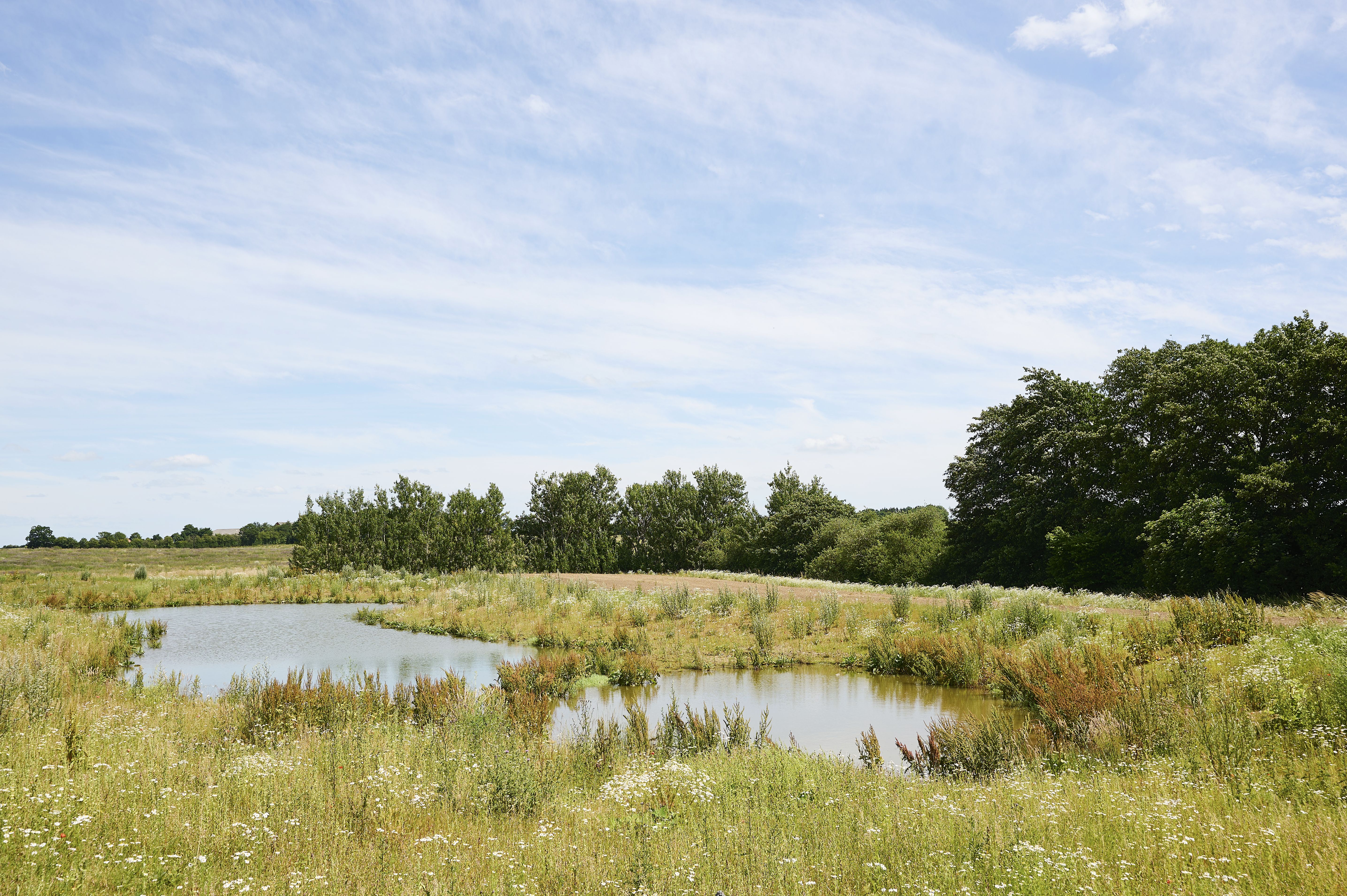 Hus – Kolding, Vonsild - Visning 5
