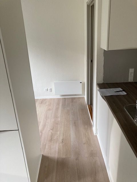 Nyrenoveret lejlighed beliggende ved Vegenå