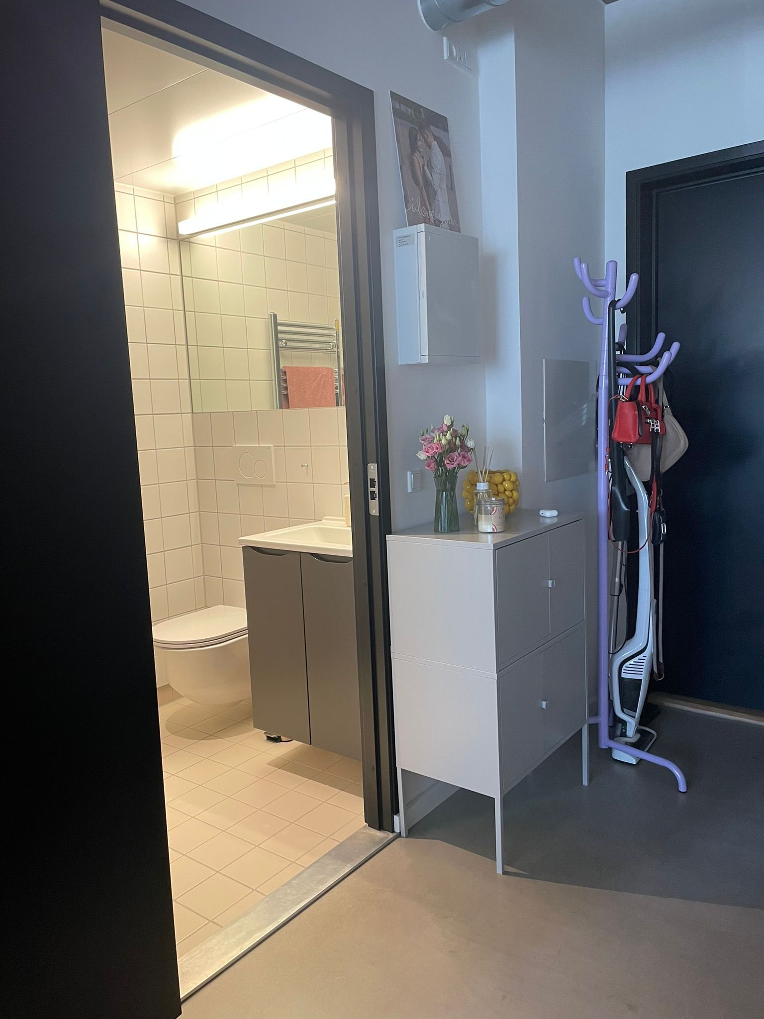 Lejlighed til fremleje – møbleret, dyr tilladt, fantastiske faciliteter