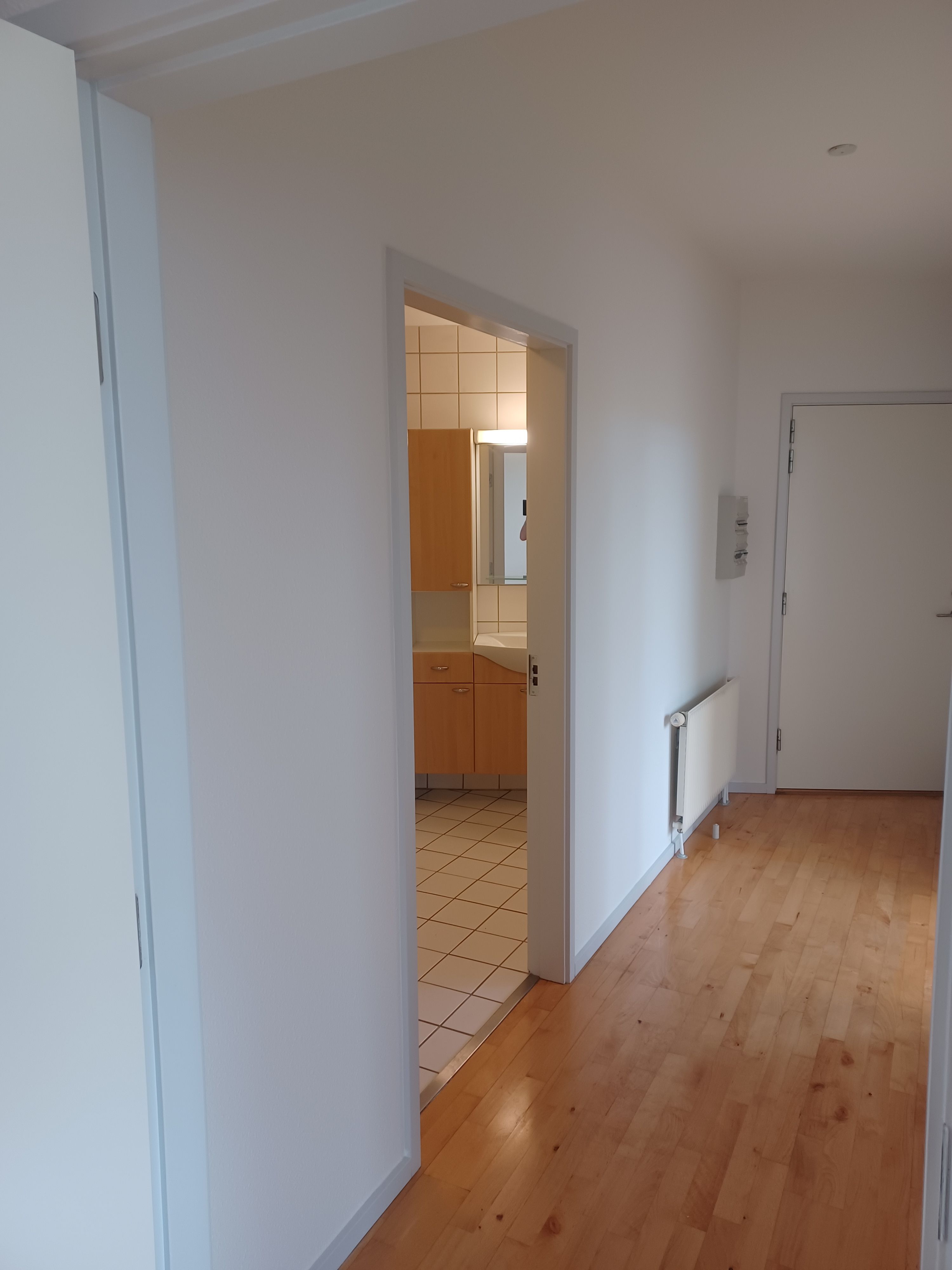 Stor flot lejlighed i midten af Horsens